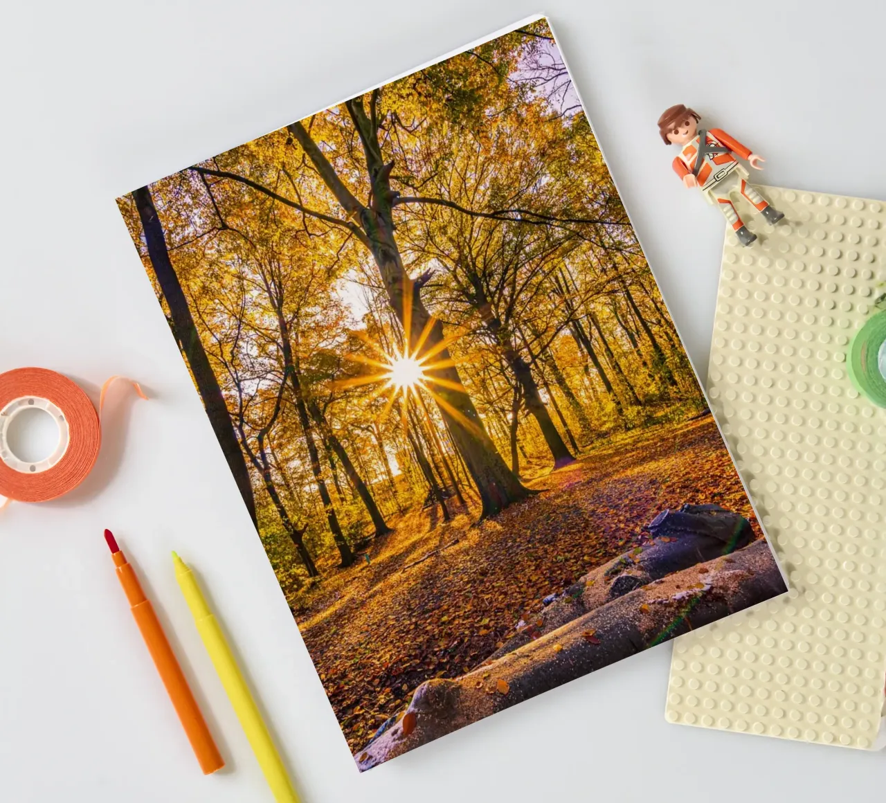 Sun star in the forest in autumn notebook by Marcus Beckert | Fotografie