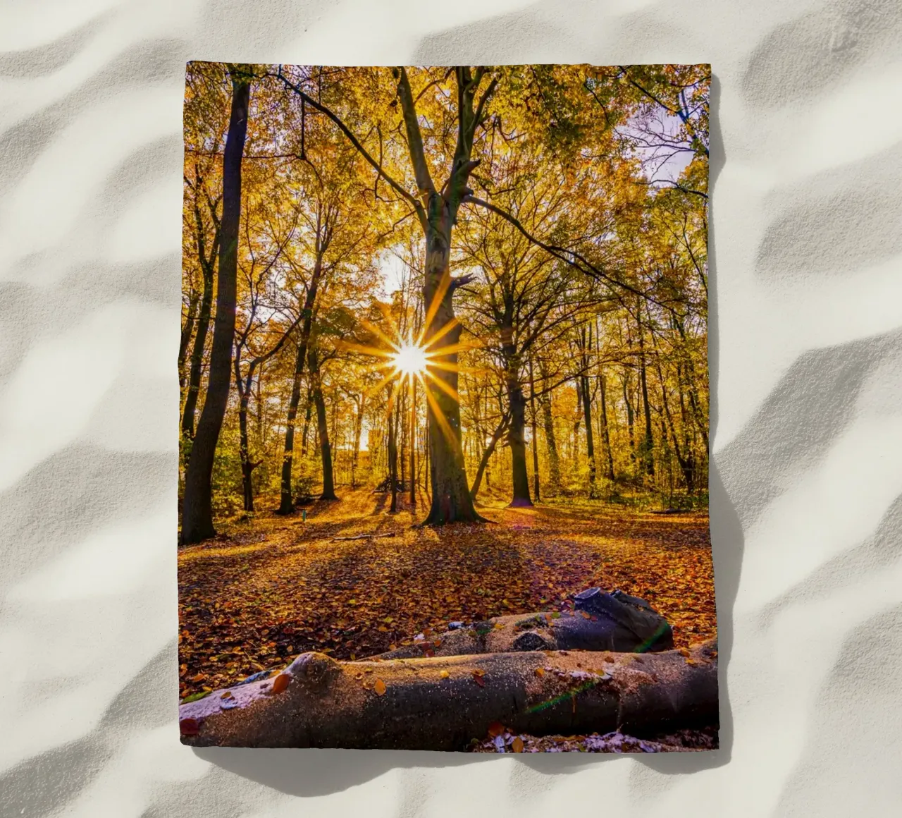 Stella del sole nella foresta in autunno telo mare da Marcus Beckert | Fotografie