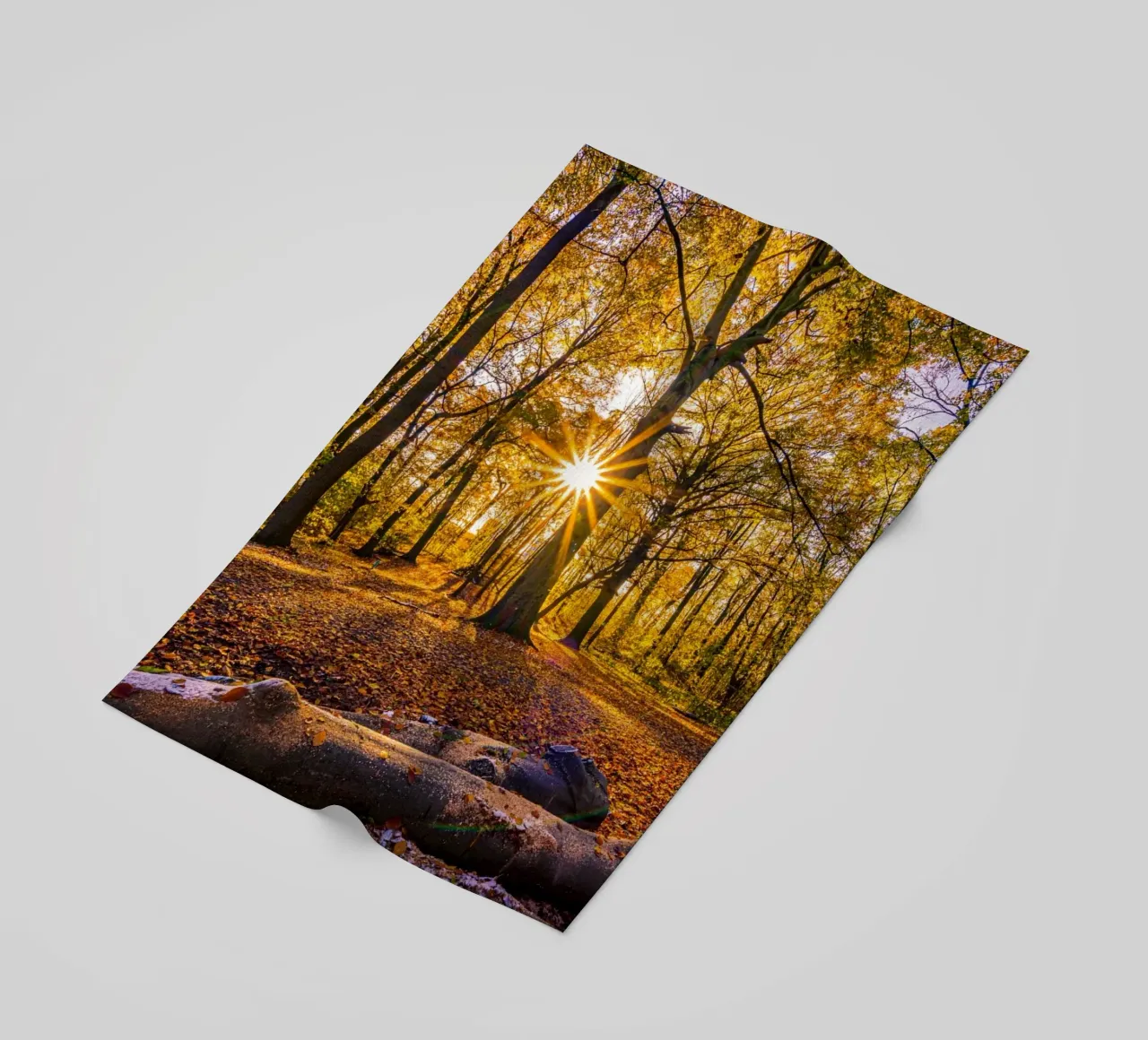 Stella del sole nella foresta in autunno telo mare da Marcus Beckert | Fotografie
