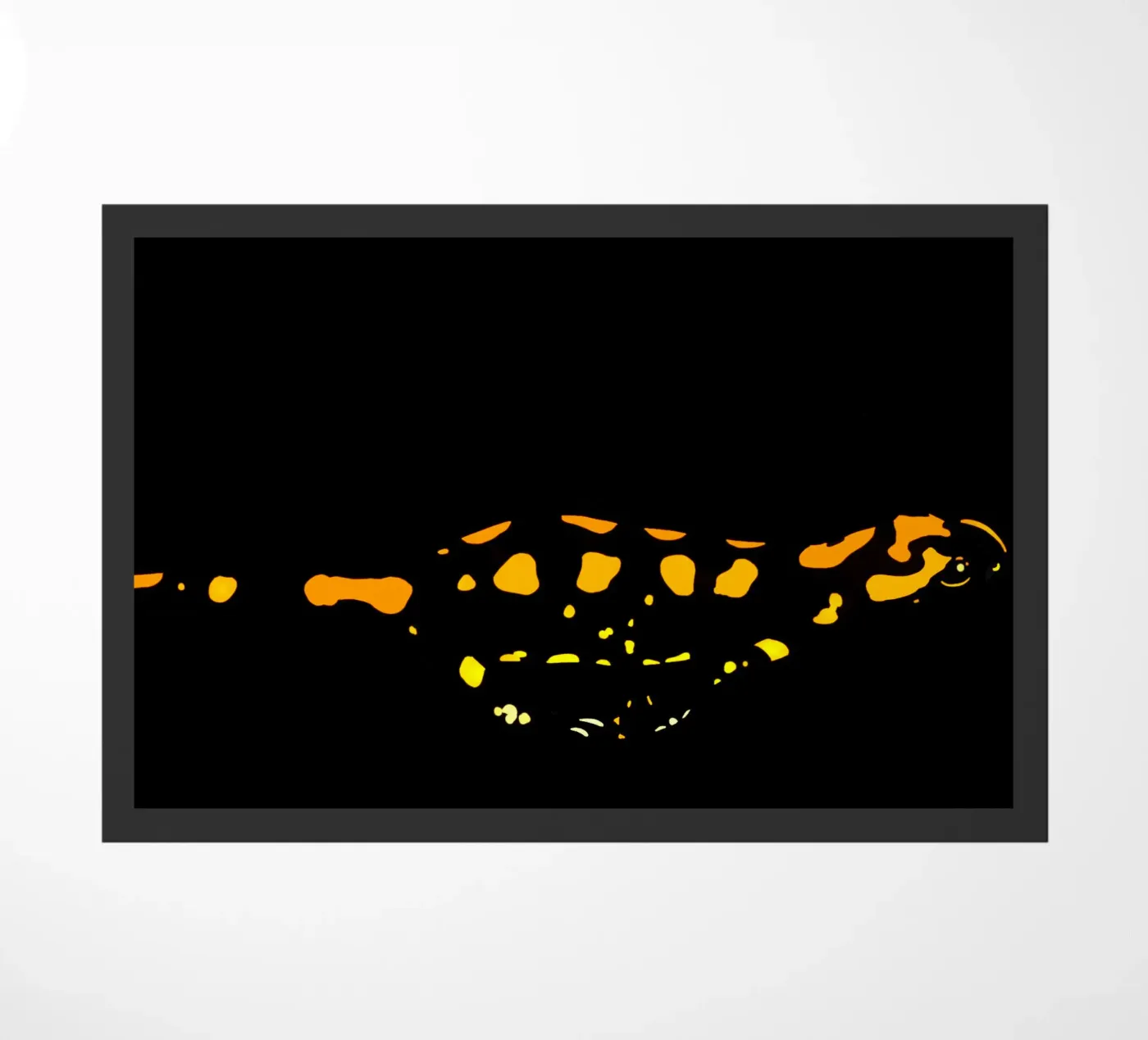 Salamander deurmat van C.WILL