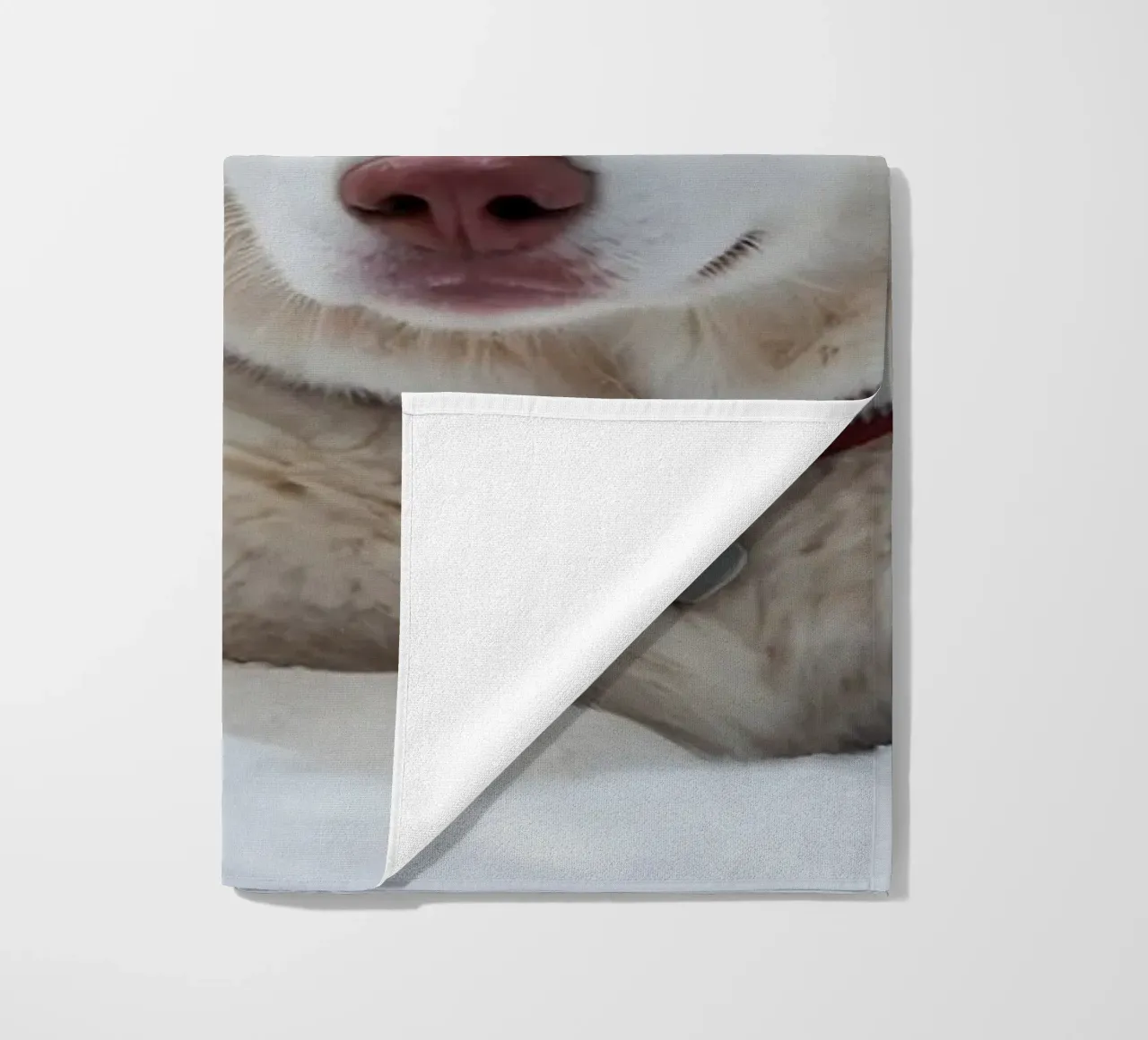 Chien husky aux yeux bleus étonnants se reposant dans la neige blanche et douce serviette de plage de DesignDoodle