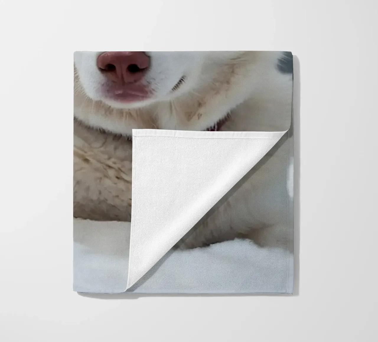 Chien husky aux yeux bleus étonnants se reposant dans la neige blanche et douce serviette de plage de DesignDoodle