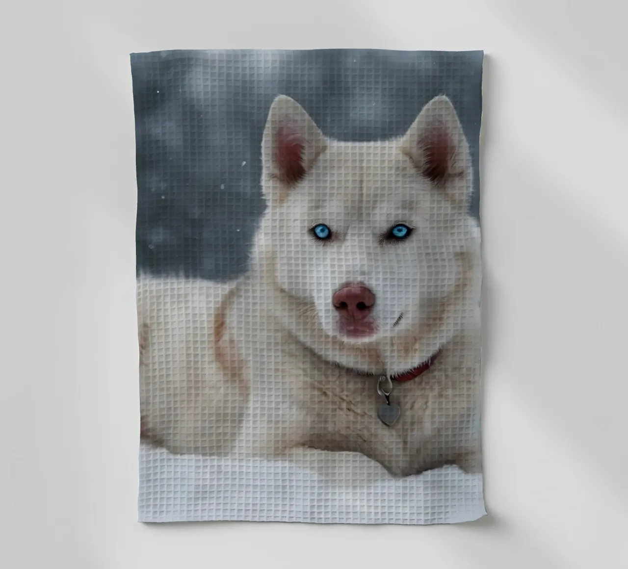 Chien husky aux yeux bleus étonnants se reposant dans la neige blanche et douce torchon de DesignDoodle