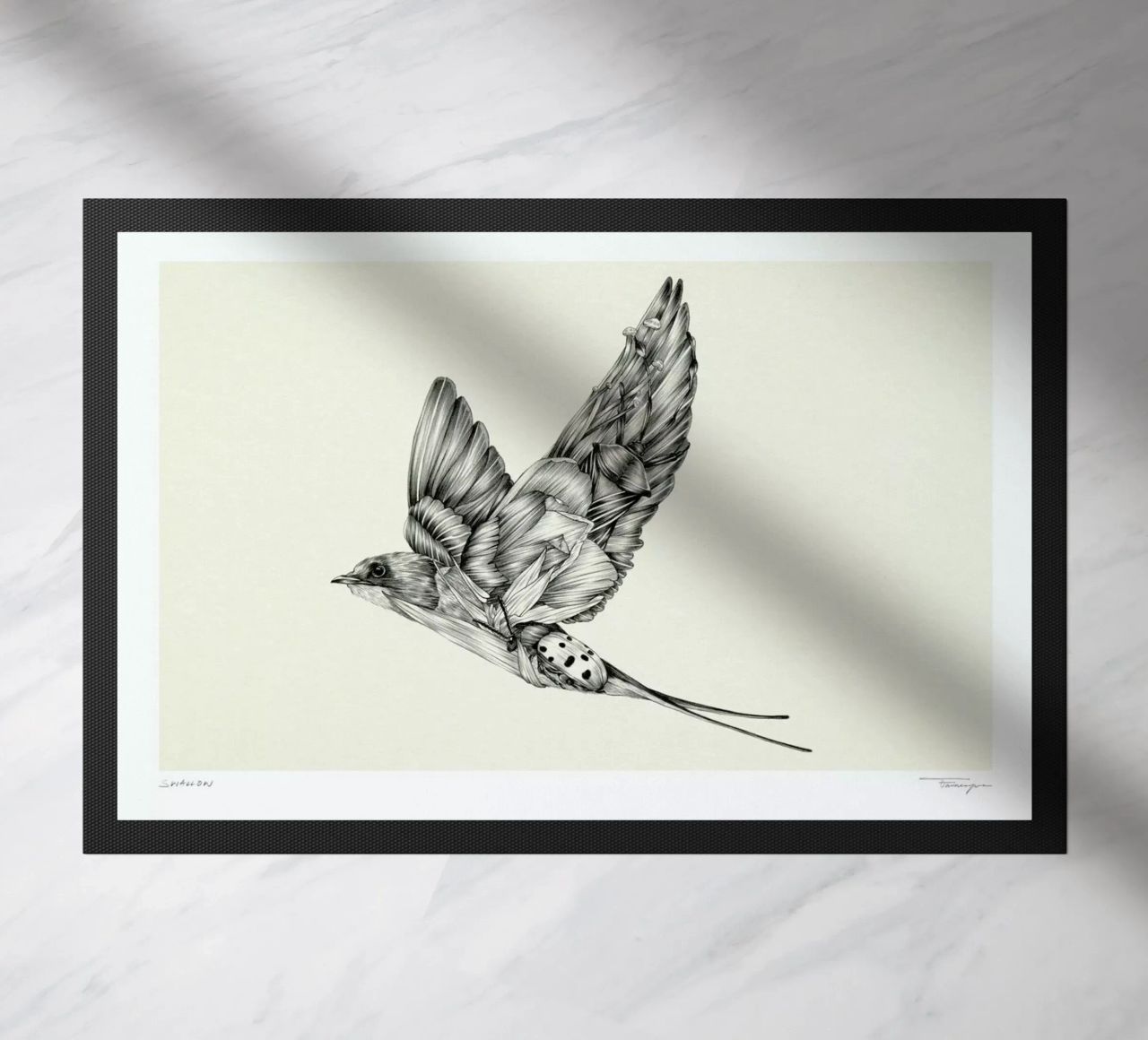 Swallow zerbino da Faunesque