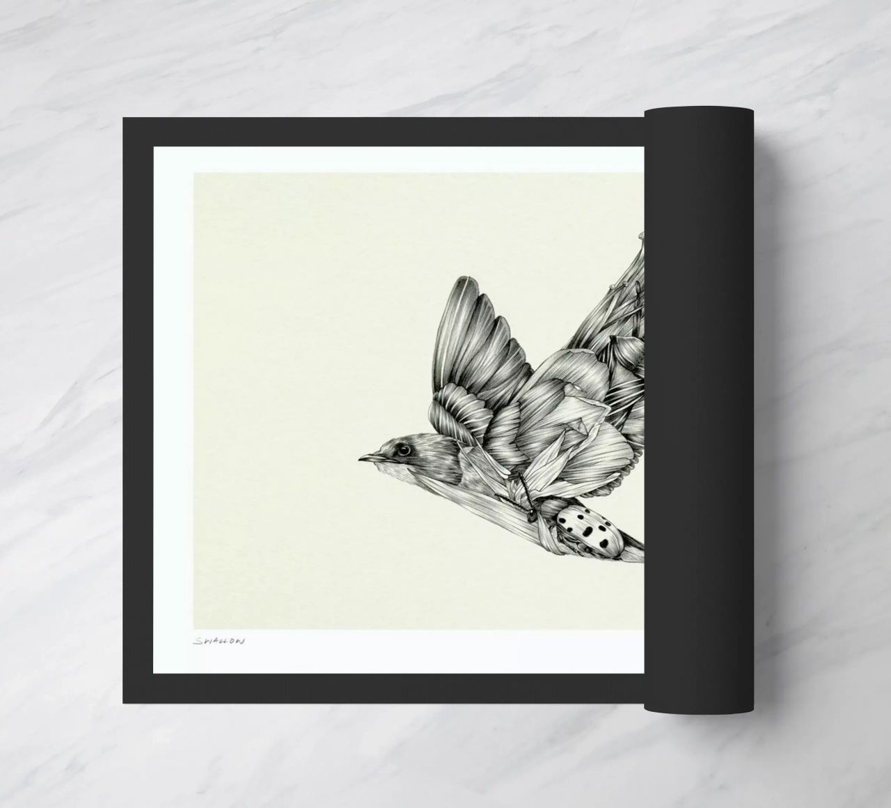 Swallow zerbino da Faunesque