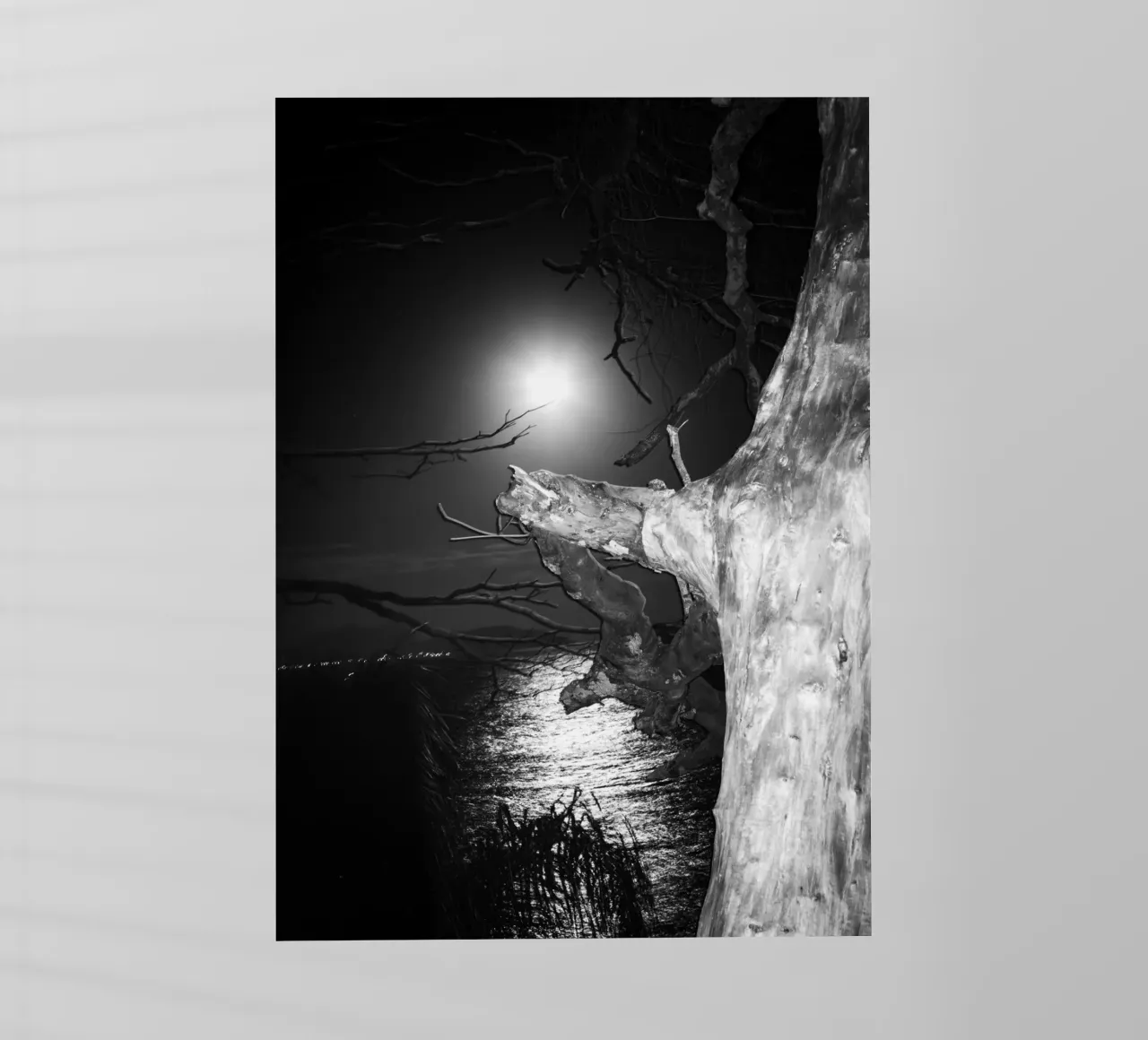 Luna pellicola backlit da rafael campezato