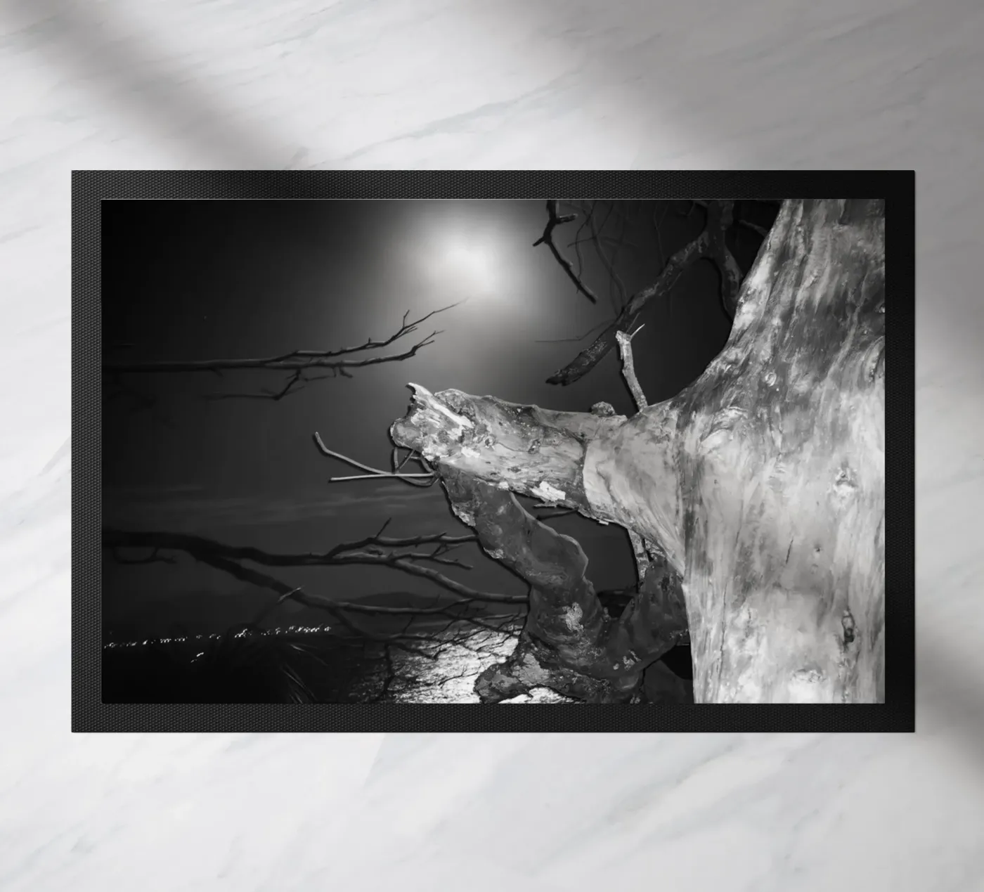 Moon zerbino da rafael campezato