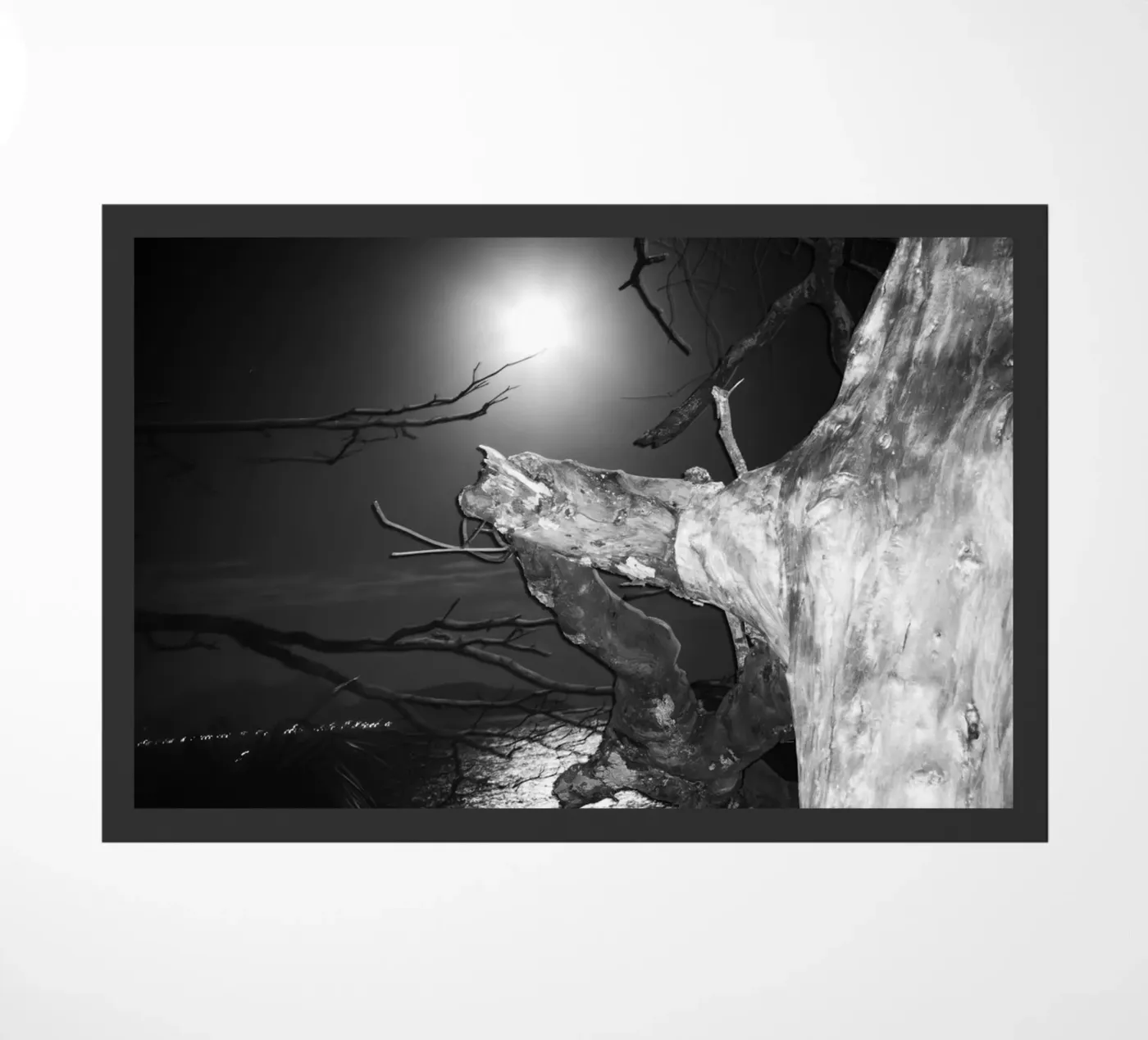 Luna zerbino da rafael campezato