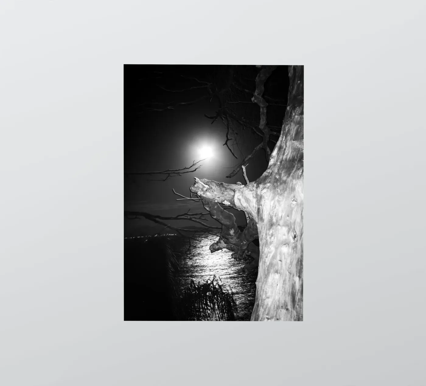 Moon sticker by rafael campezato