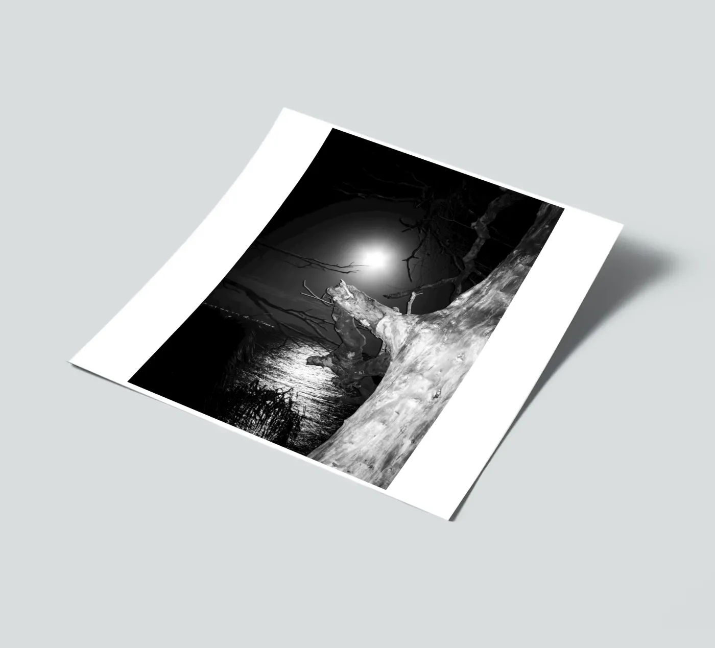 Moon Stickerbogen von rafael campezato