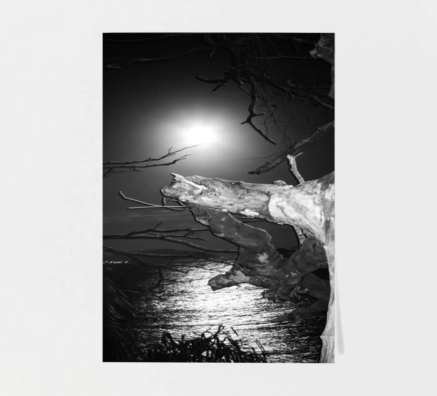 Moon foglio adesivo da rafael campezato