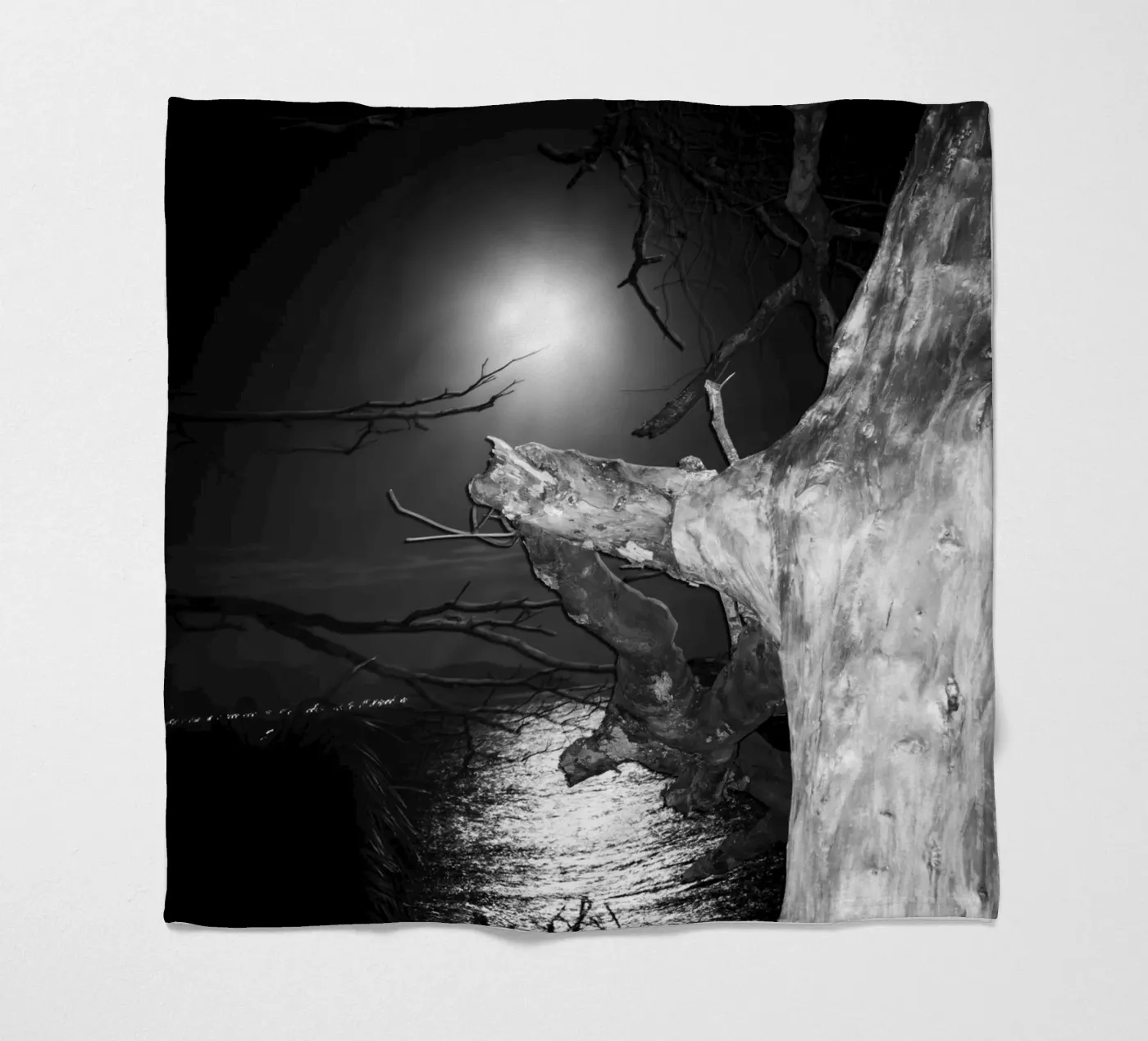 Moon Fleecedecke von rafael campezato