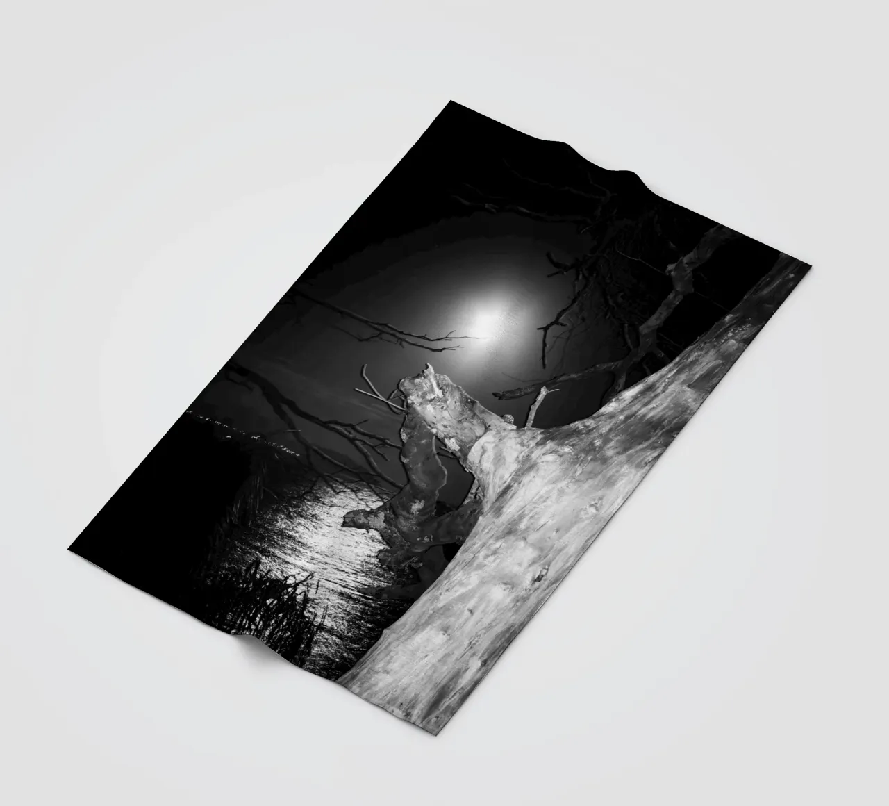 Mond Fleecedecke von rafael campezato