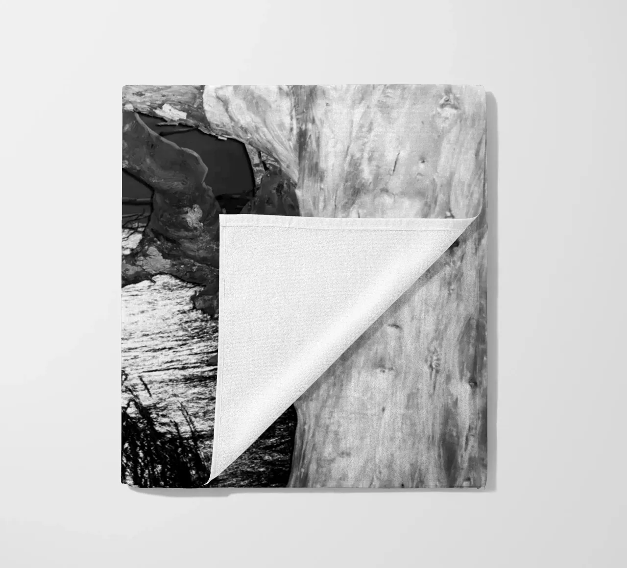 Luna telo mare da rafael campezato