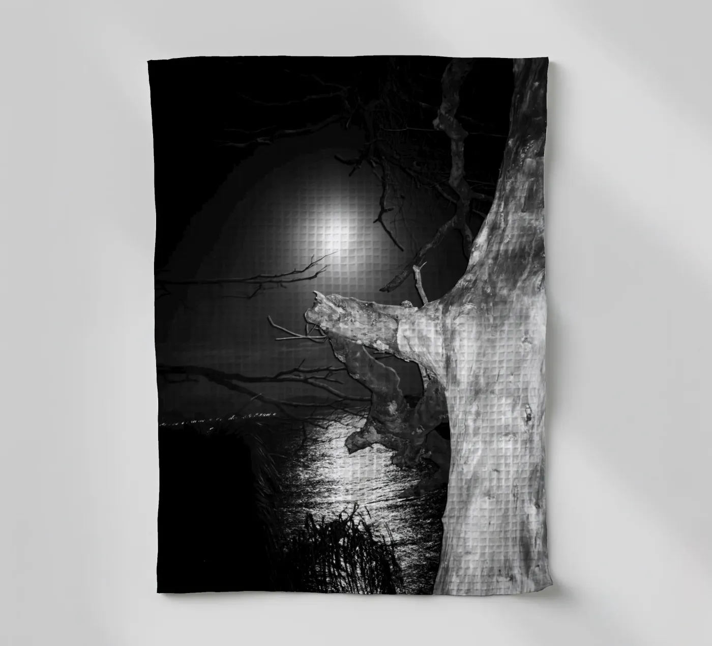 Moon tea towel by rafael campezato