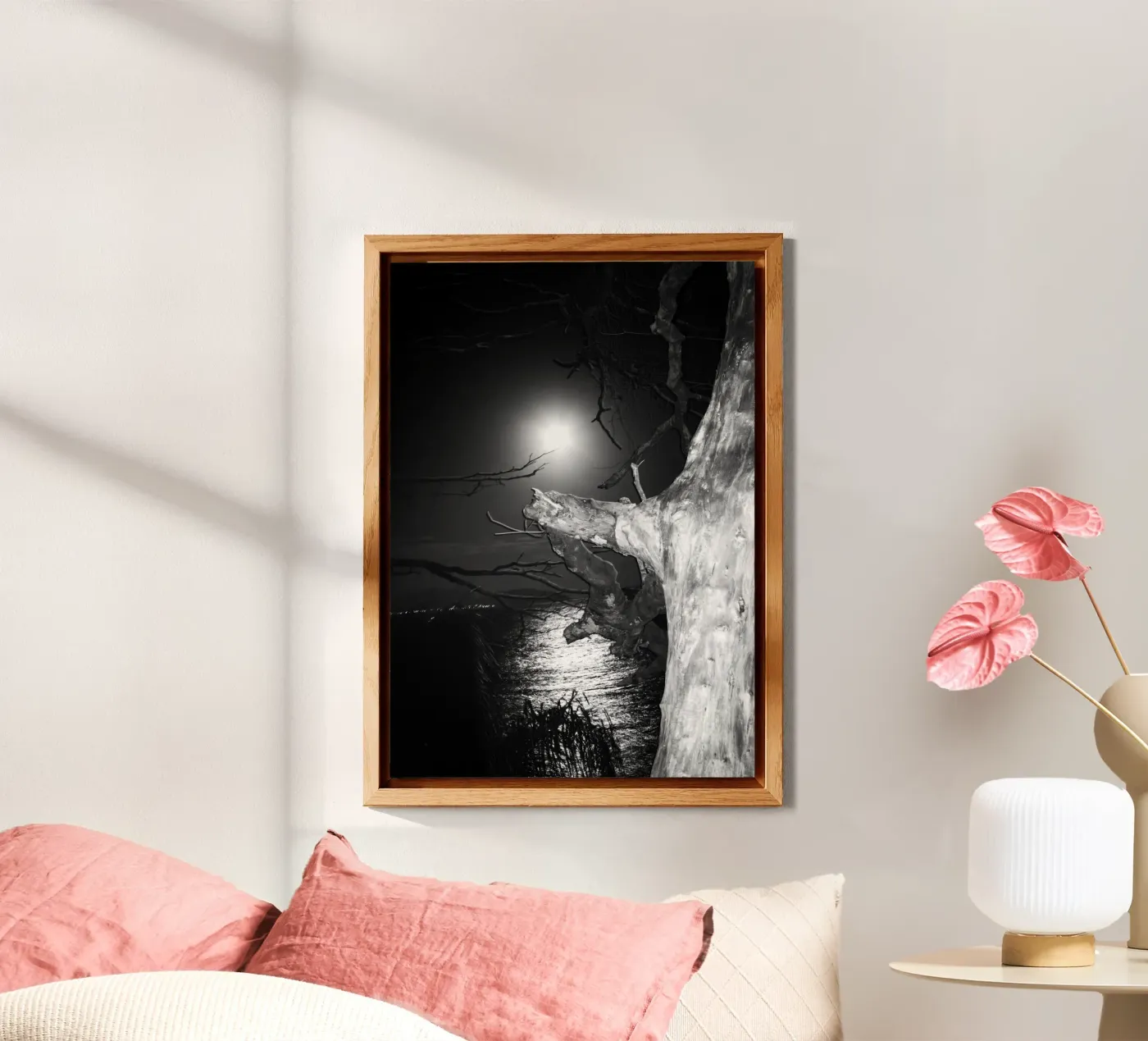 Moon forex plate by rafael campezato