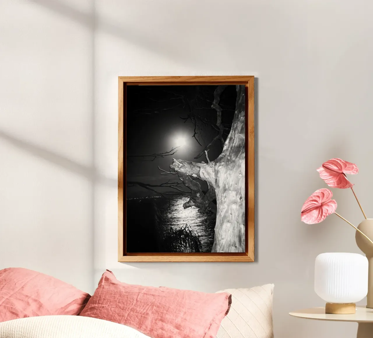 Luna pannello forex da rafael campezato