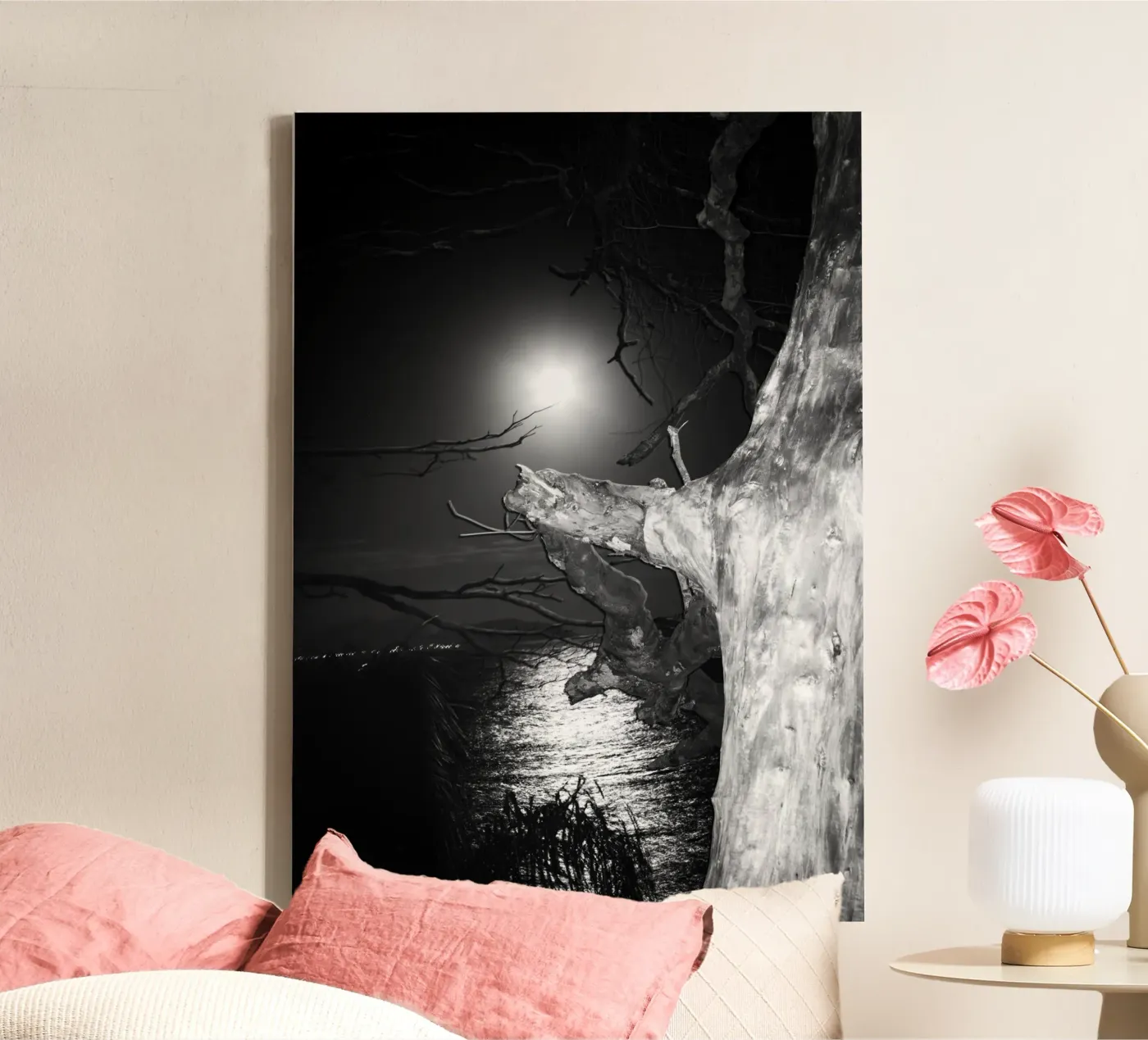 Moon tela da rafael campezato