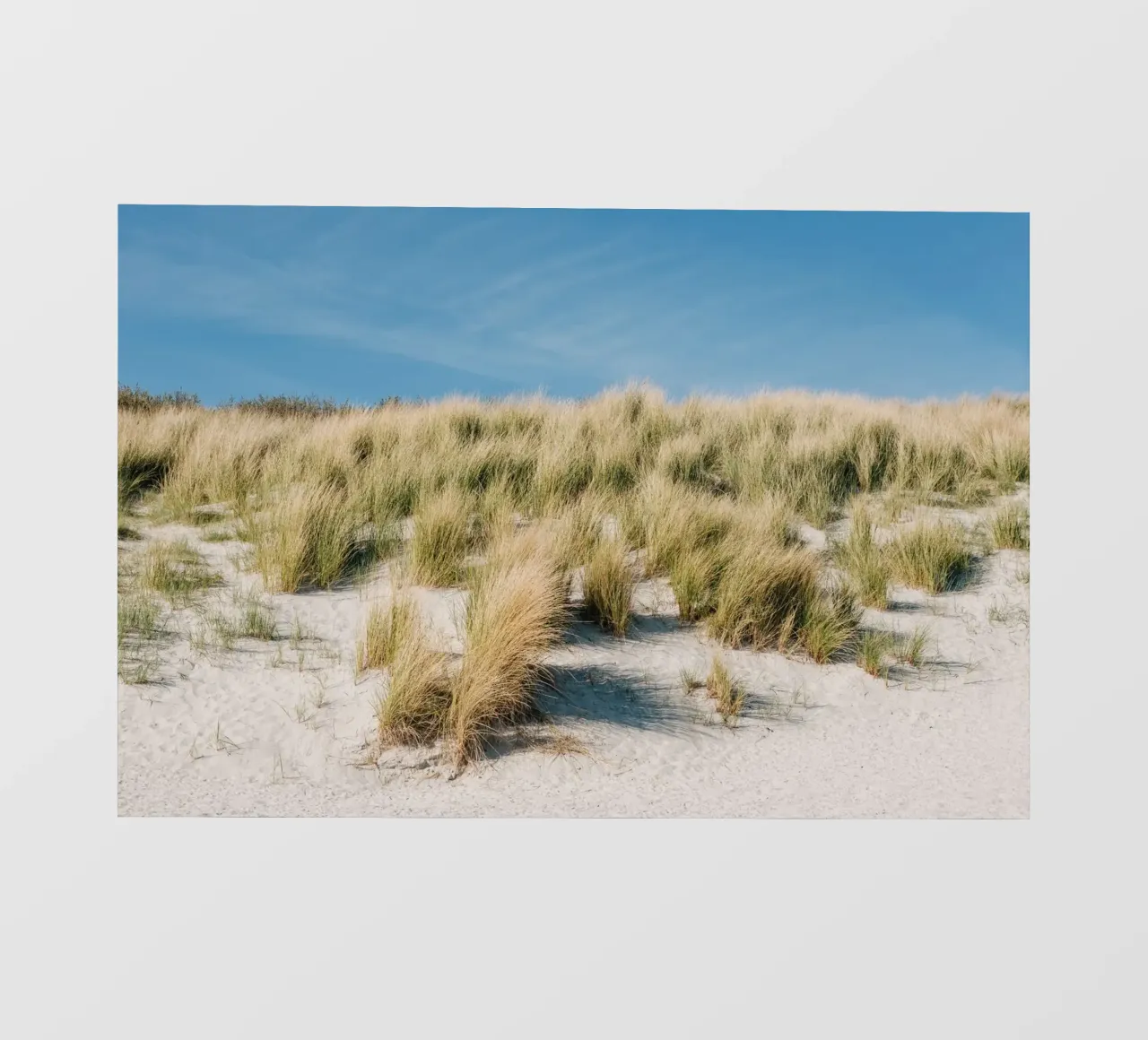 Spiaggia vicino a Helgoland pellicola backlit da susea