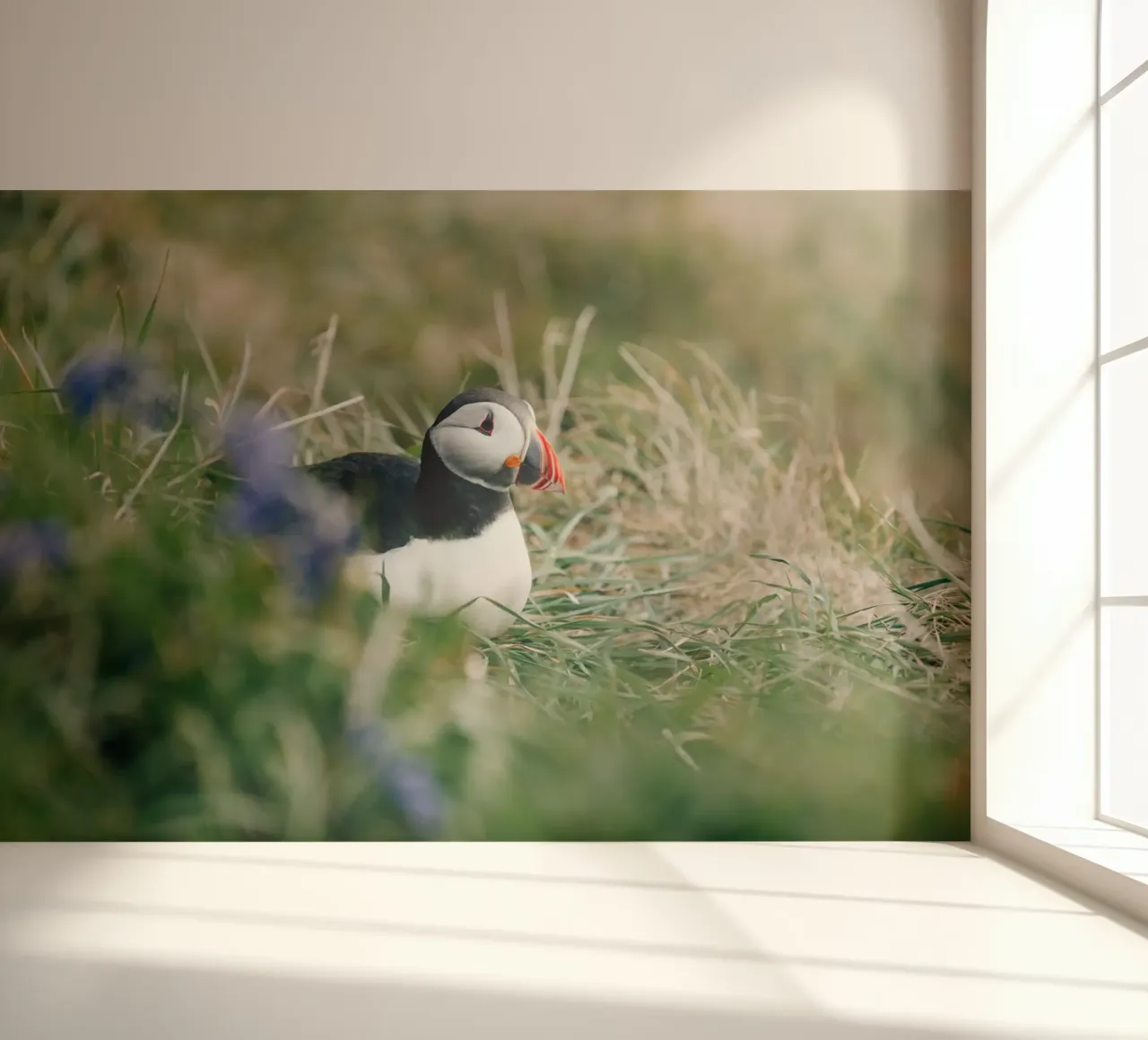Puffin on a flower meadow photo wallpaper by susea