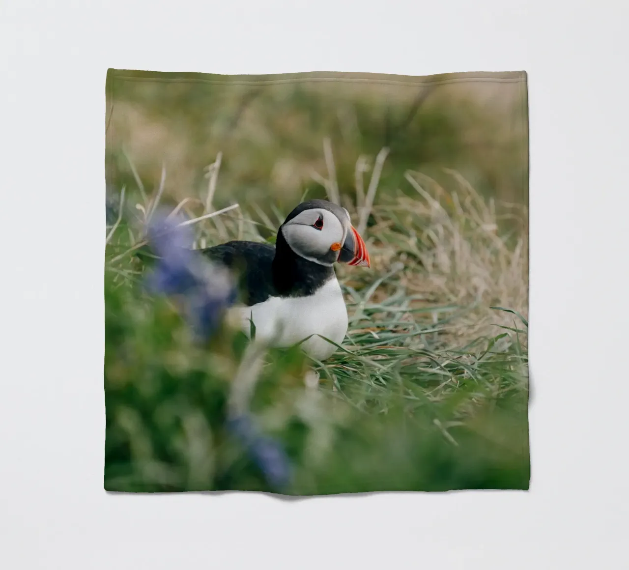 Papageientaucher auf Blumenwiese Fleecedecke von susea