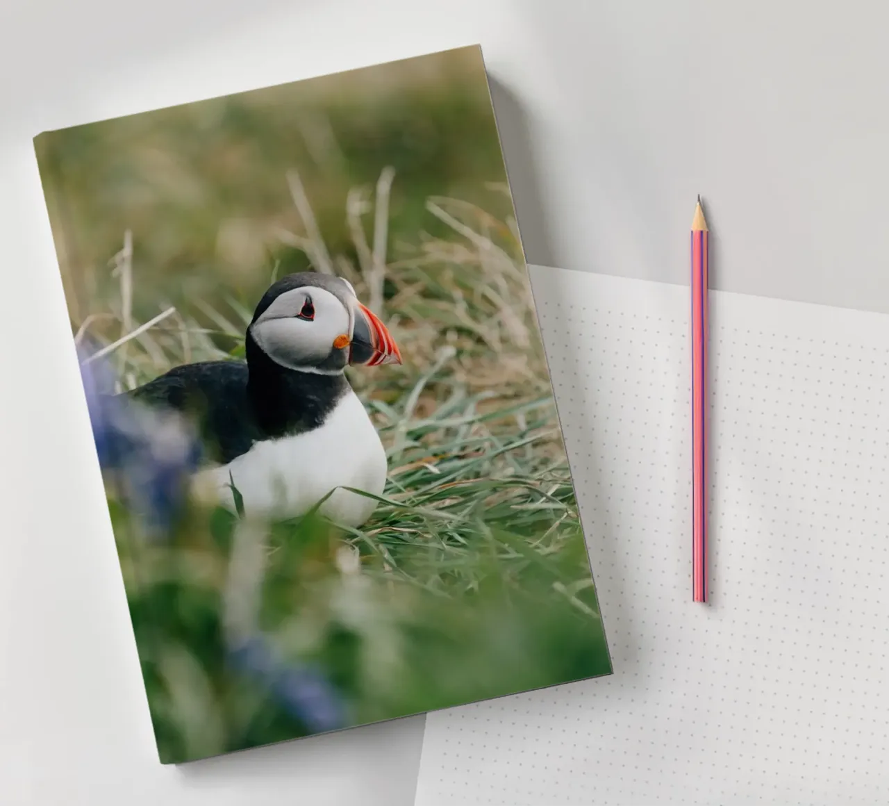 Puffin on a flower meadow notebook by susea