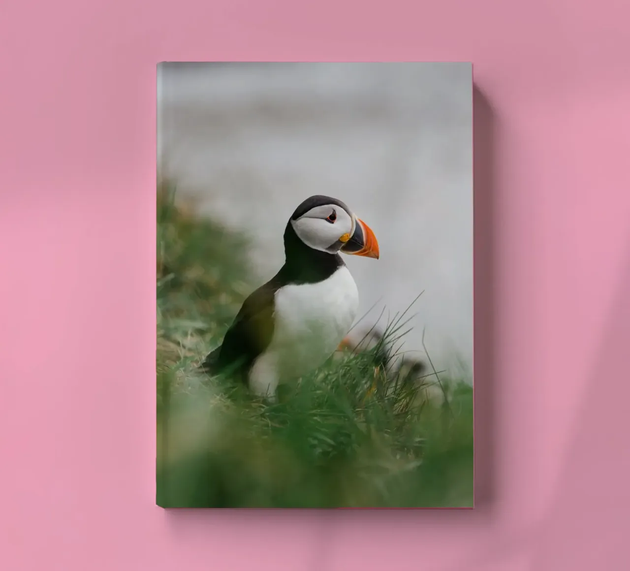 Puffin in Scotland notebook by susea