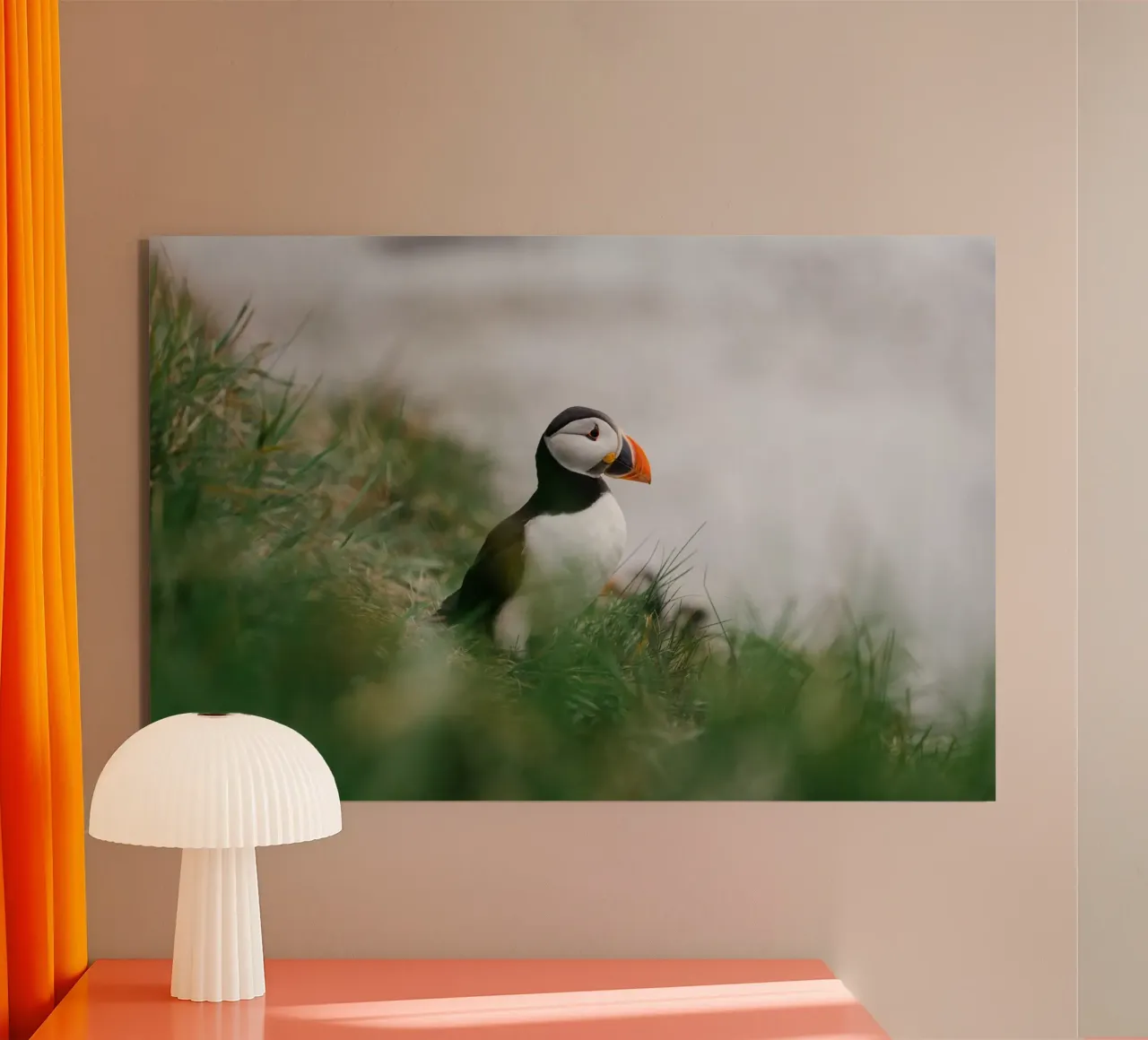 Puffin in Scotland alluminio dibond da susea