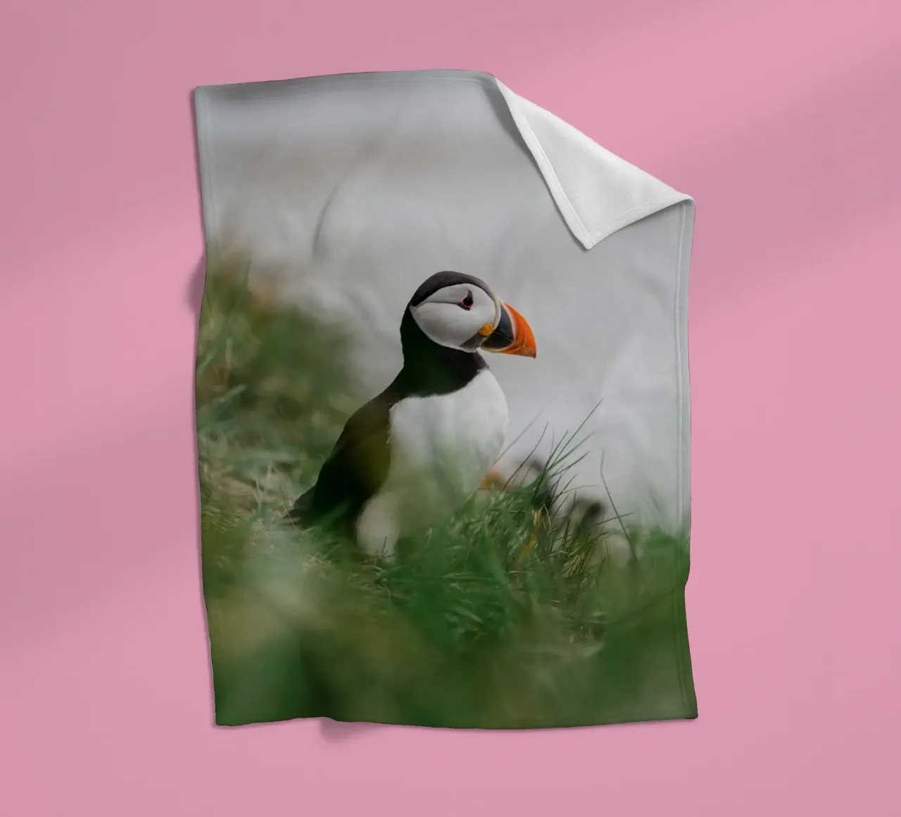 Puffin in Scotland coperta in pile da susea