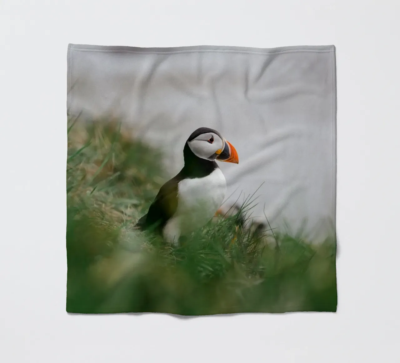 Puffin in Scotland coperta in pile da susea