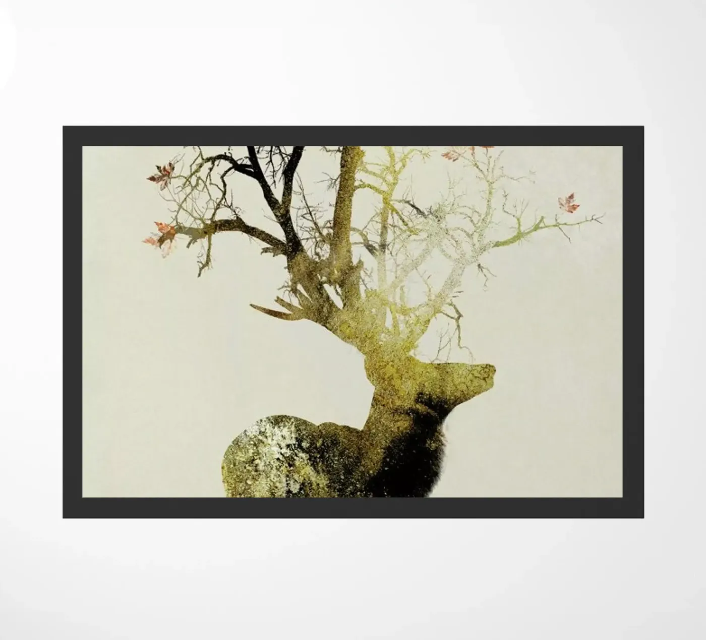 Autumn zerbino da Dániel Taylor