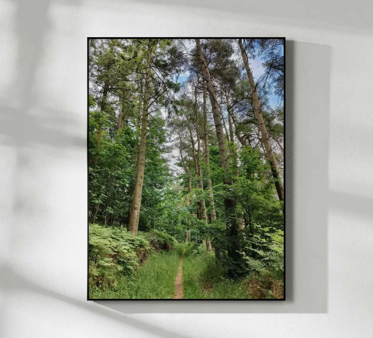 Summer path acryl van gtobonart