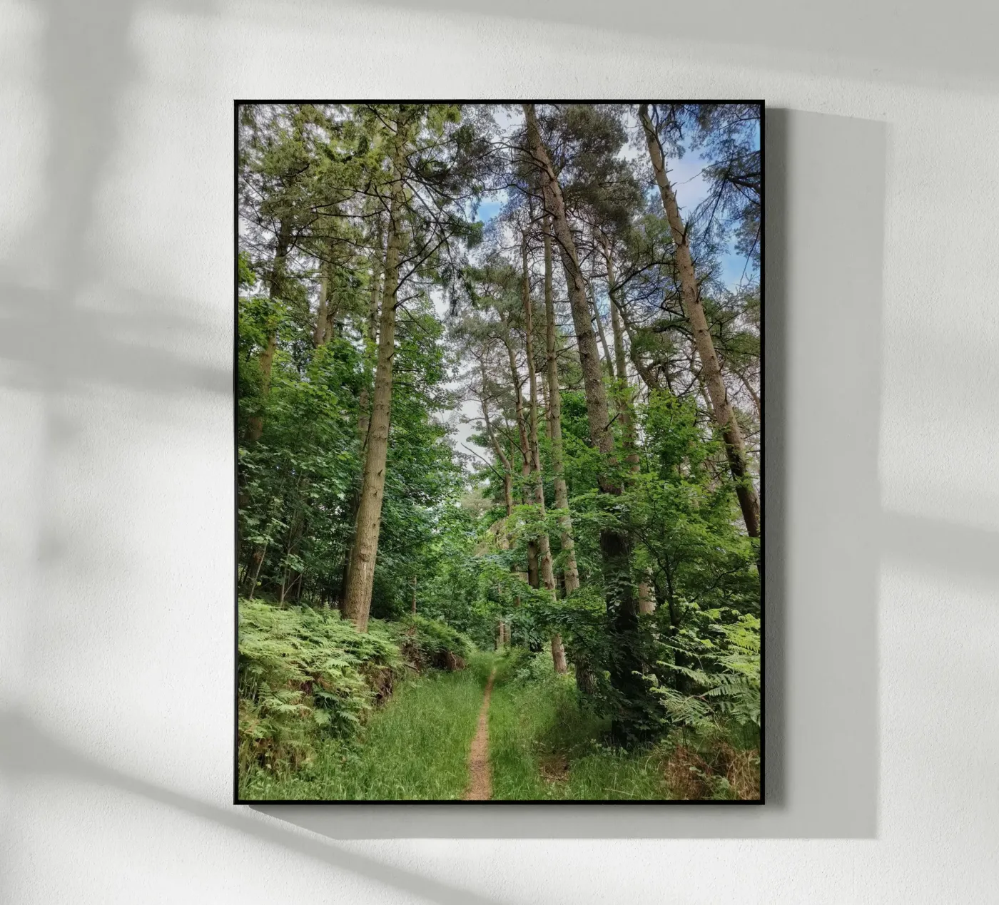 Summer path plexiglass da gtobonart