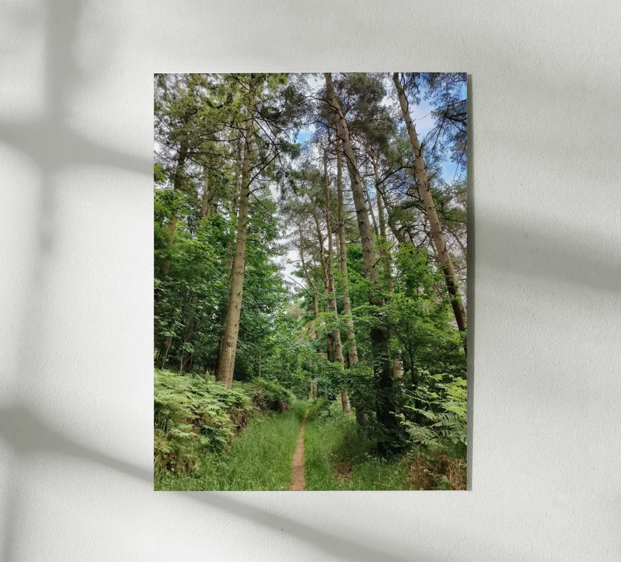 Summer path acryl van gtobonart