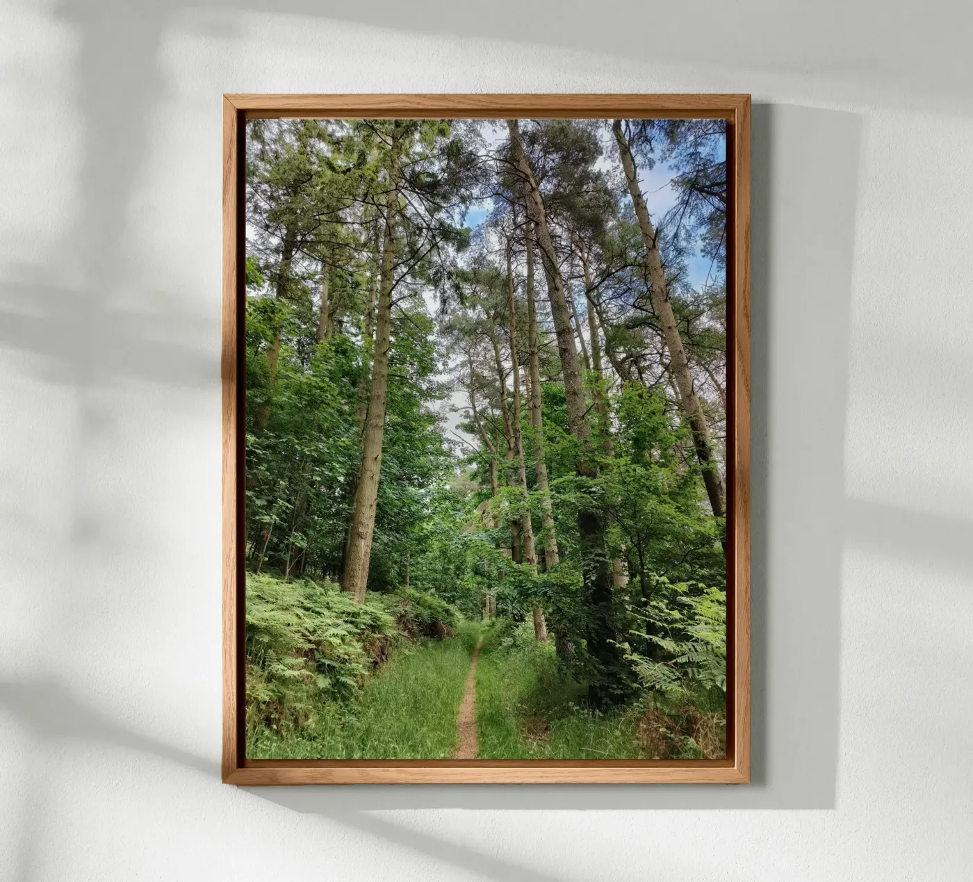 Summer path Forex-Platte von gtobonart