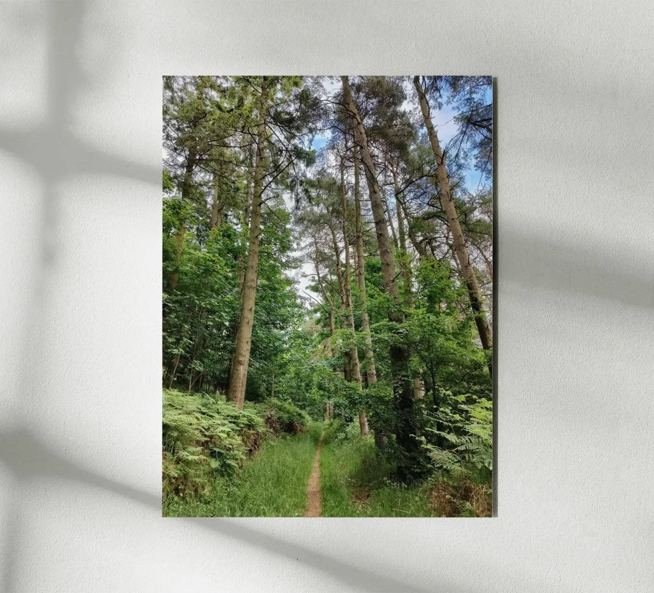 Summer path alluminio dibond da gtobonart
