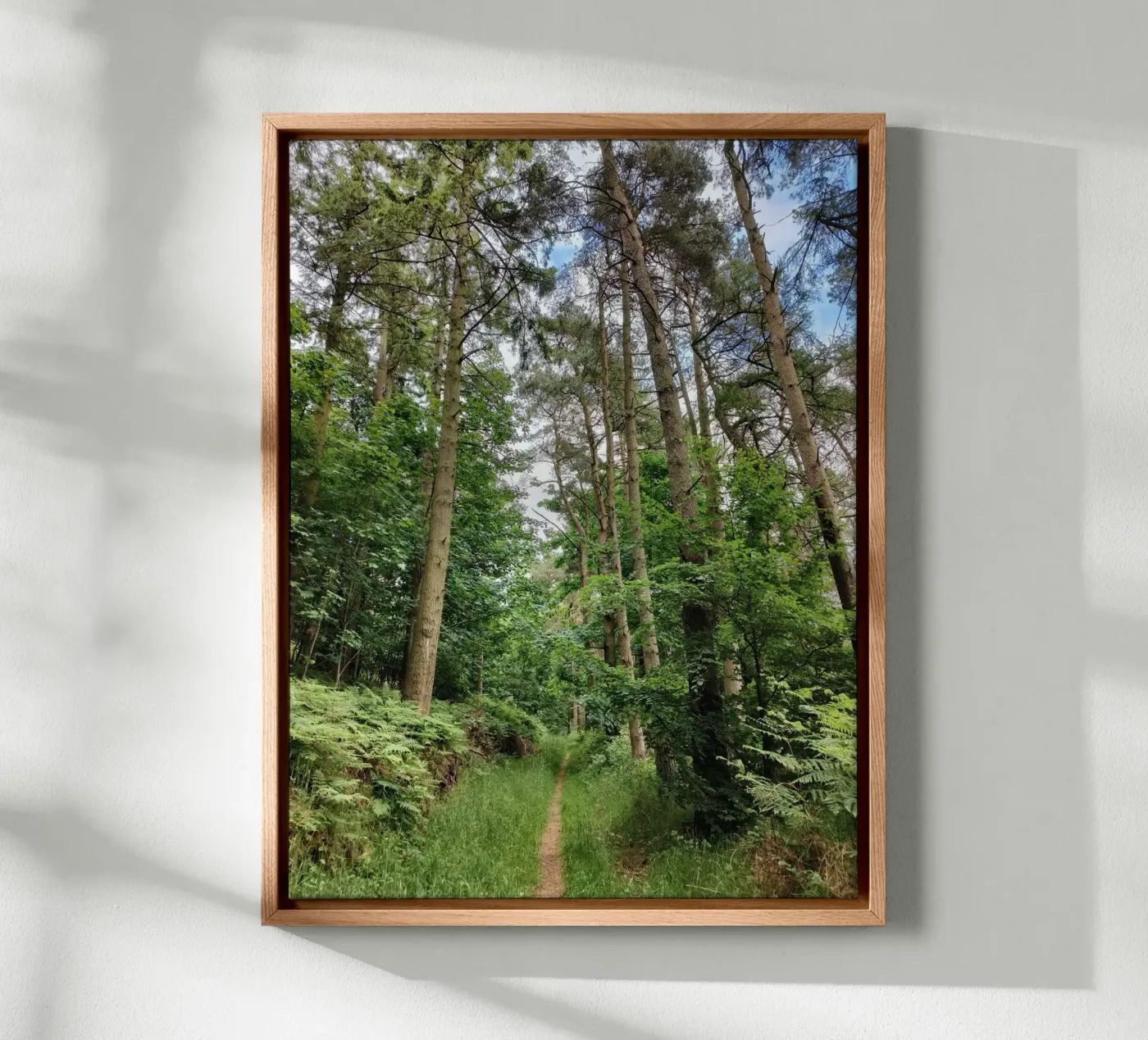 Summer path tela da gtobonart