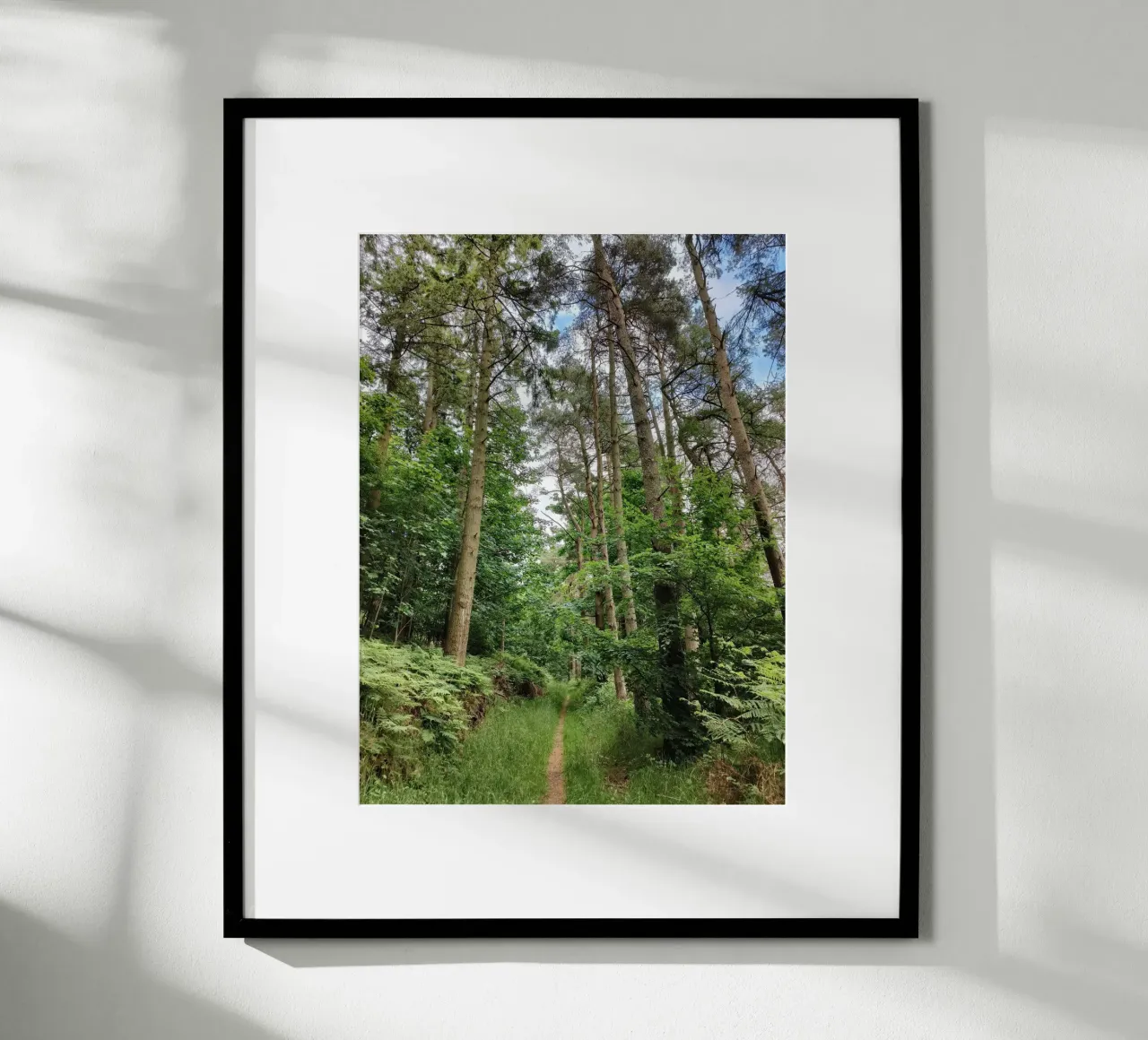 Summer path poster by gtobonart