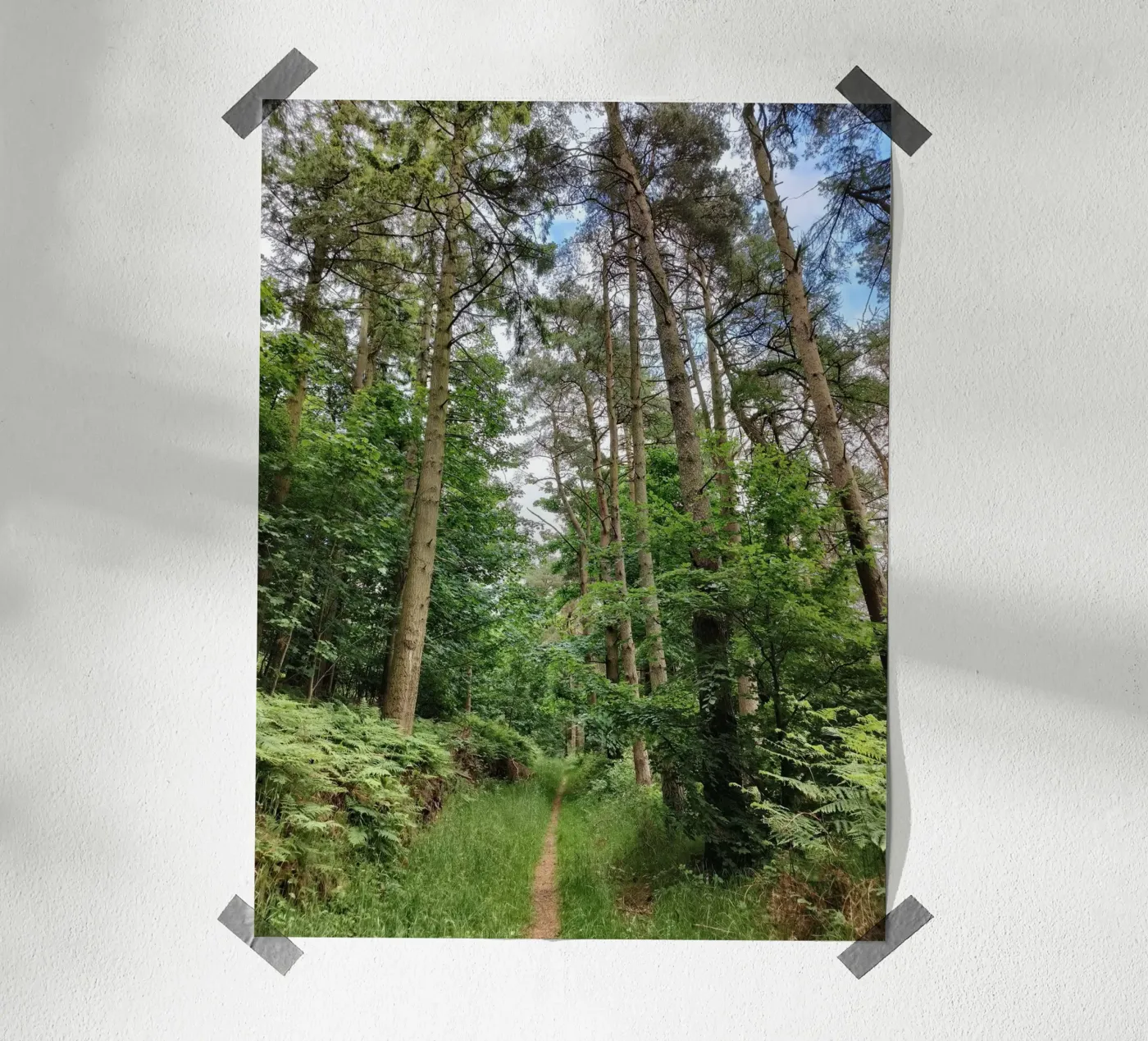 Summer path poster van gtobonart