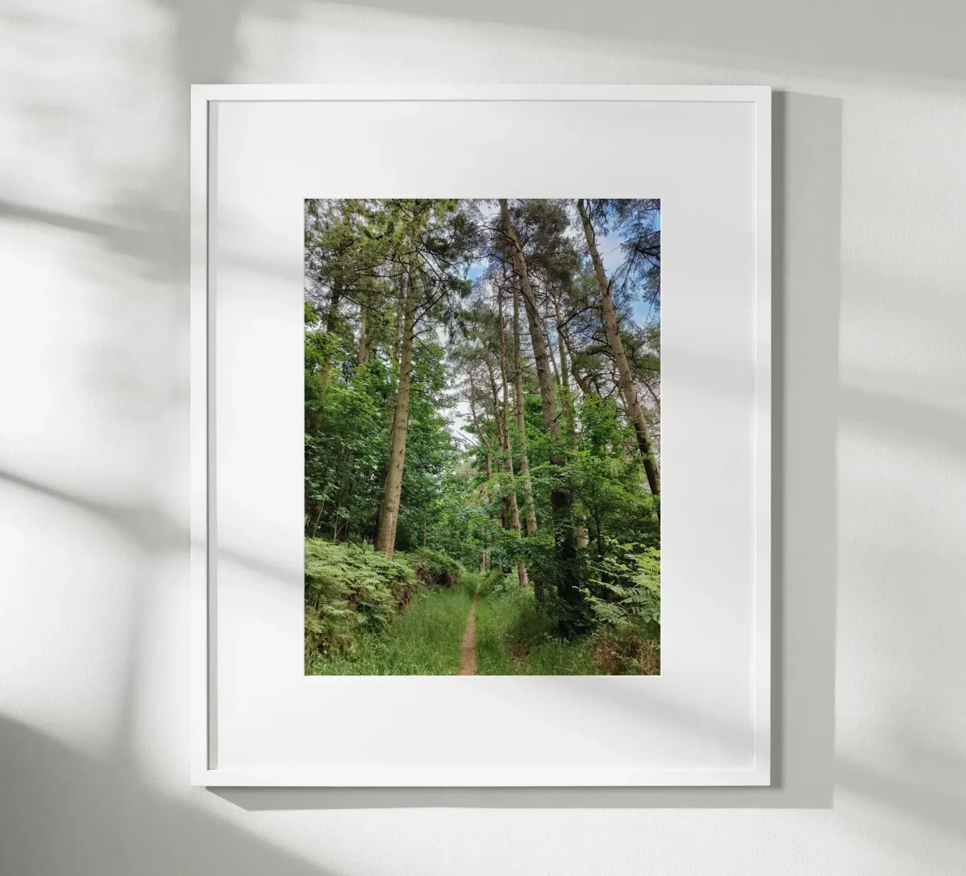 Summer path poster van gtobonart