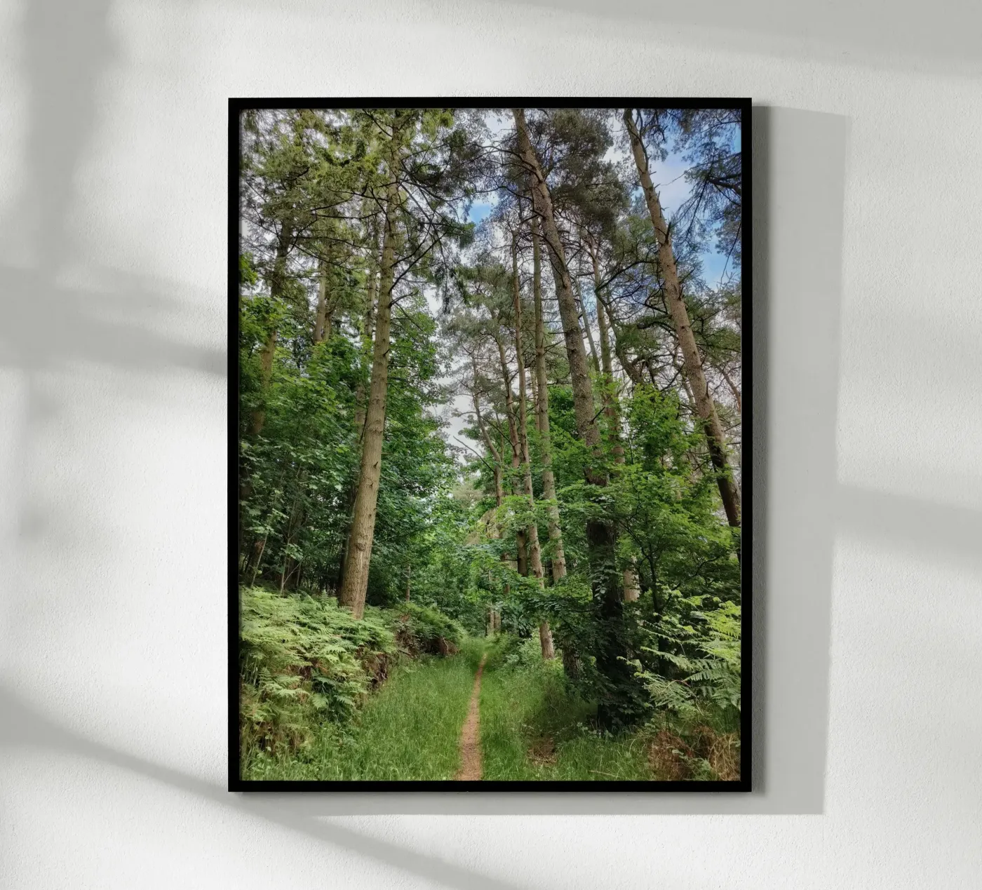 Summer path poster van gtobonart