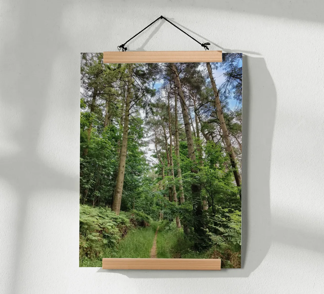 Summer path poster by gtobonart