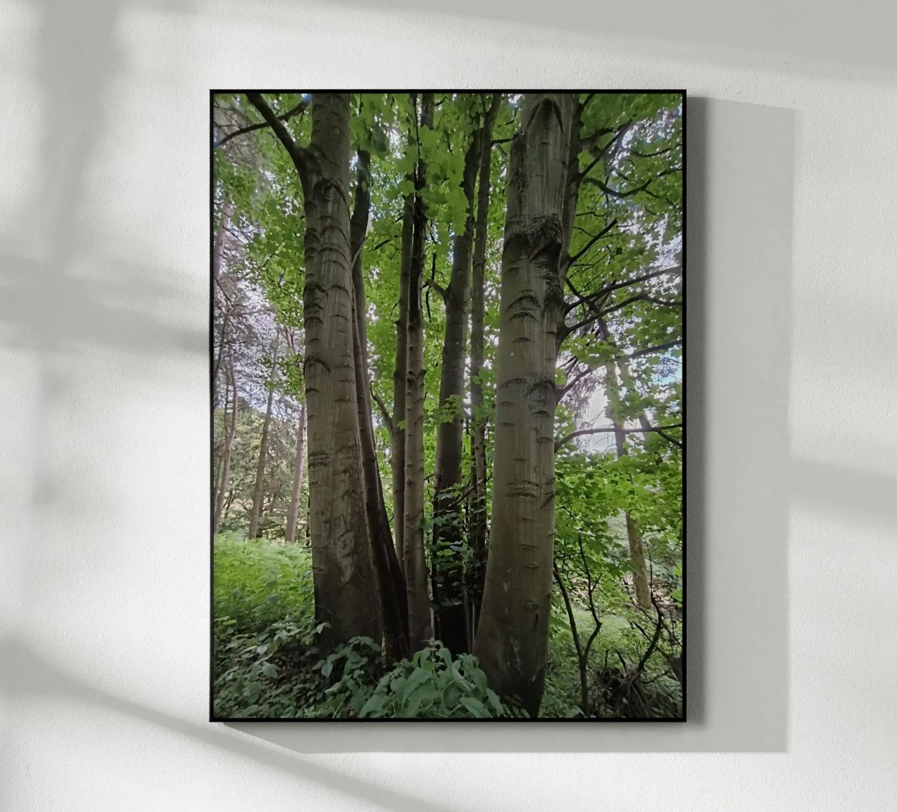 Unity in nature plexiglass da gtobonart