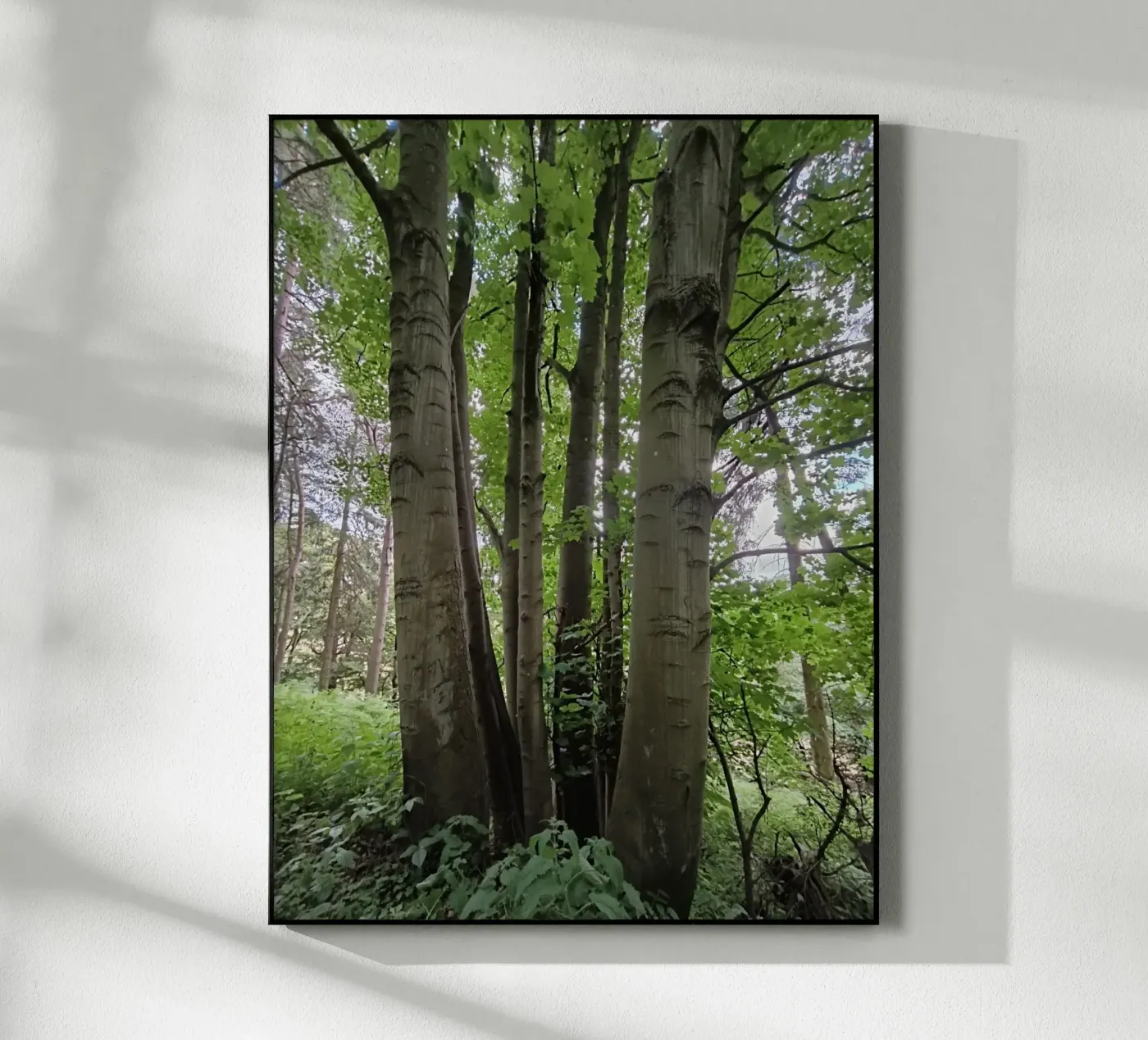 Unity in nature acryl van gtobonart