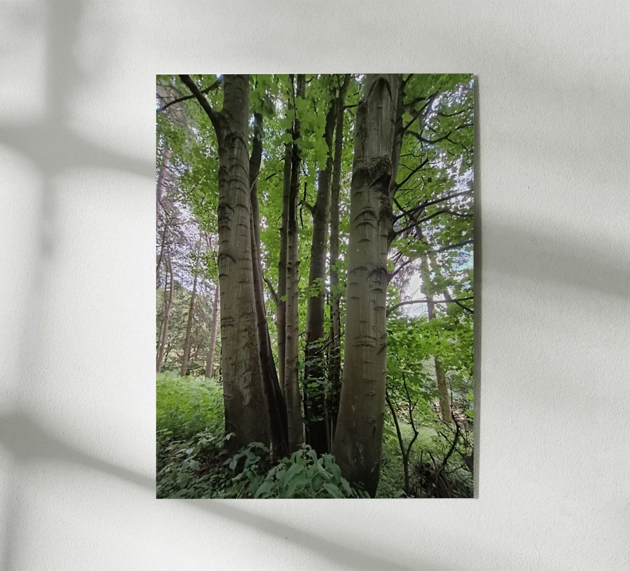 Unity in nature plexiglass da gtobonart