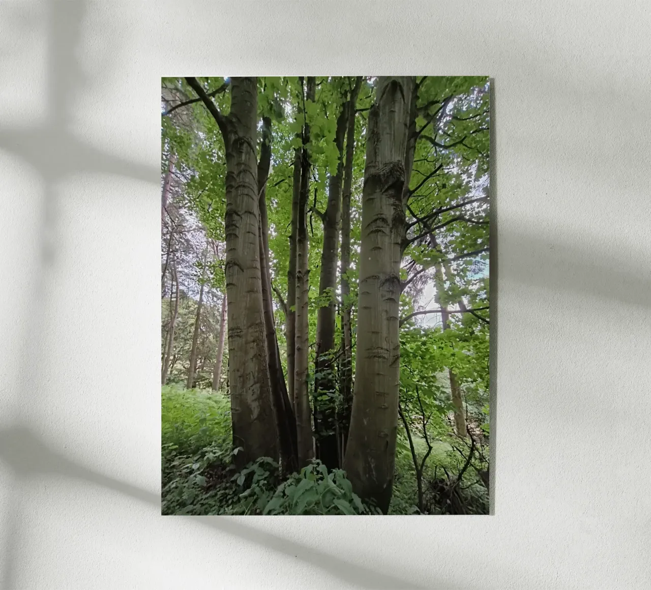Unity in nature Acryl-Glas von gtobonart