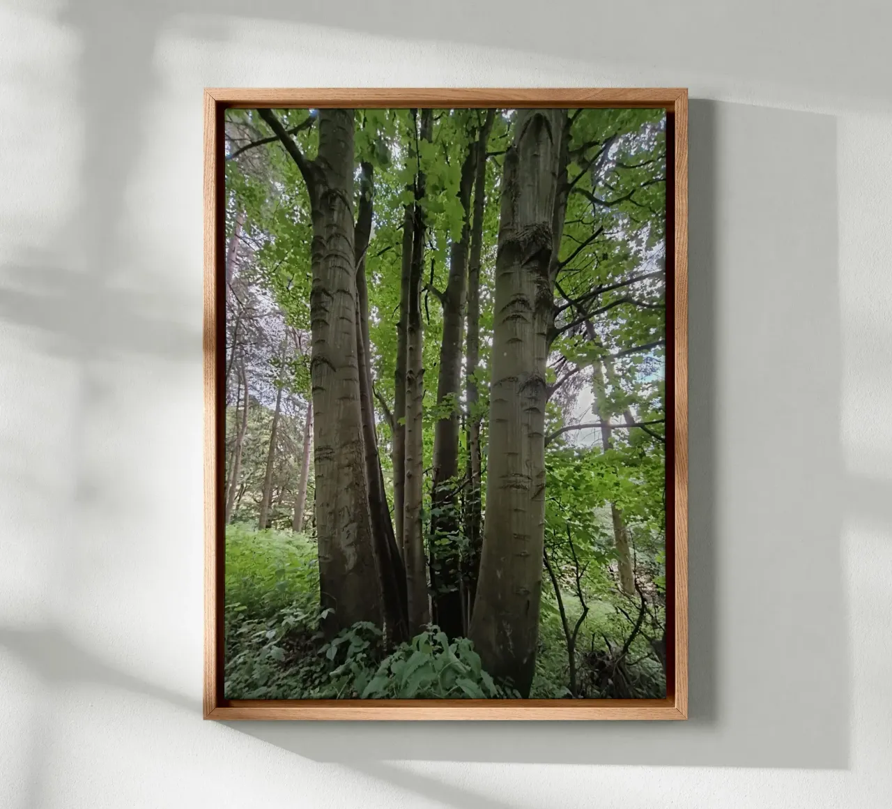 Unity in nature Leinwand von gtobonart