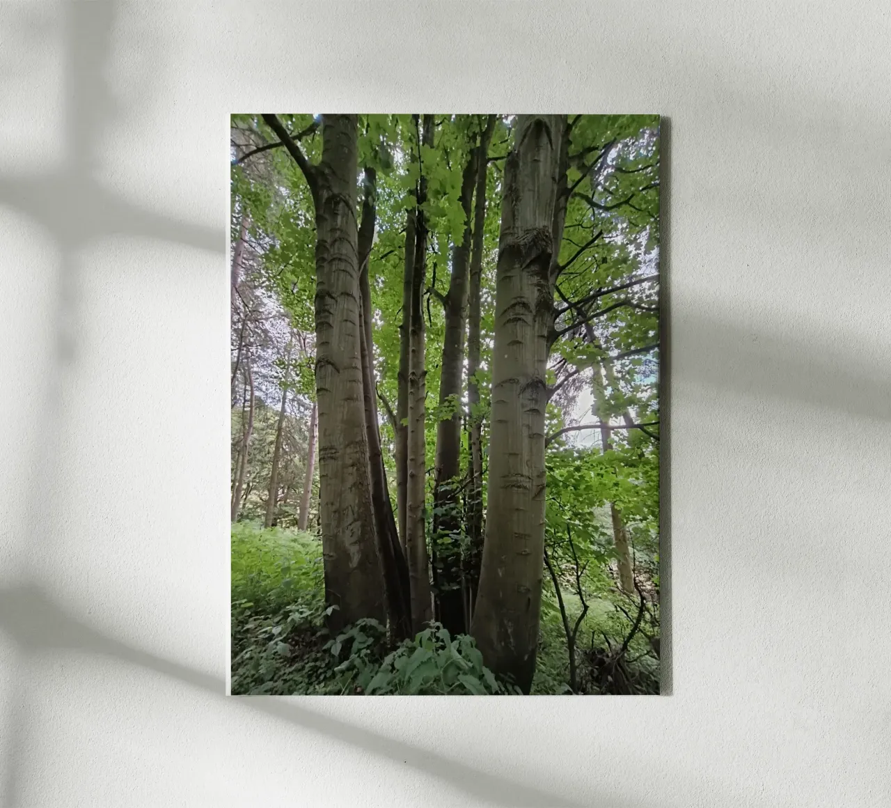 Unity in nature Leinwand von gtobonart