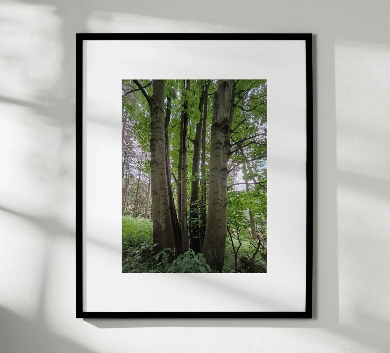 Unity in nature poster da gtobonart