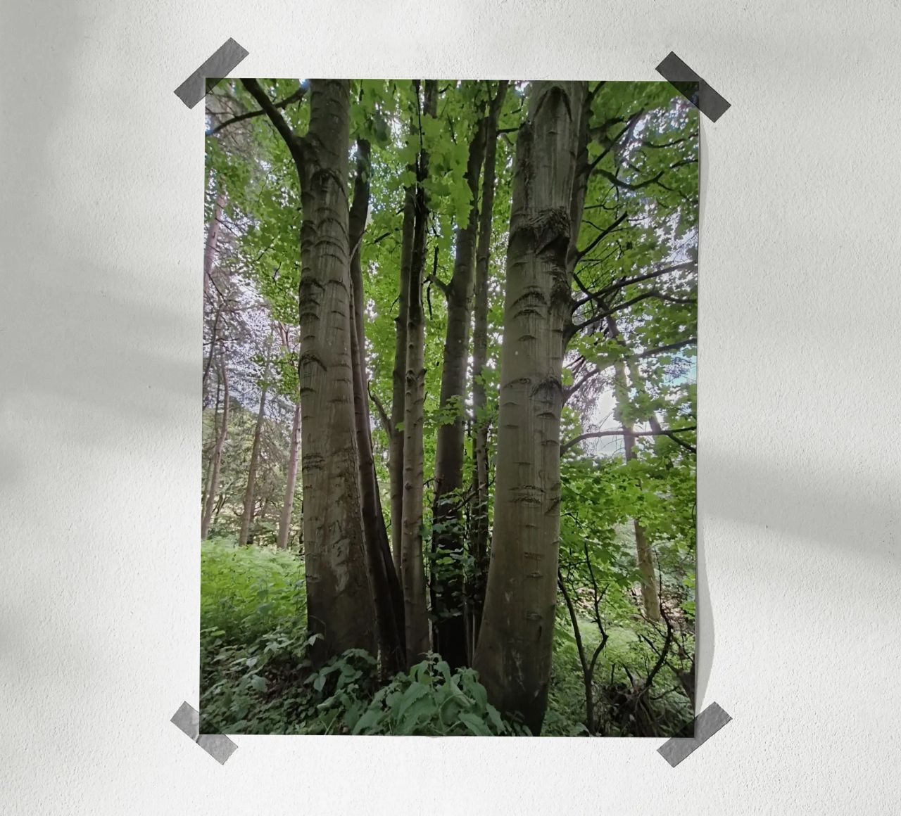 Unity in nature poster da gtobonart